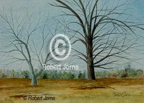 Winter Pasture Tree Shedes ©
Watercolor On 100% WC Paper
14"w x 10"h Painting