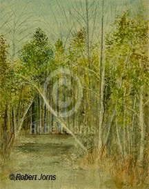 W & E Creek Spring ©
Watercolor On 100% Rag WC Paper
8"w x 10" h Painting