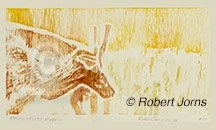 Spring Grazing Elk Study - 1 ©
Whiteline Print With Hand Tint 
Watercolor
Artist'st Proof
9.5"w x 5"h AP Print