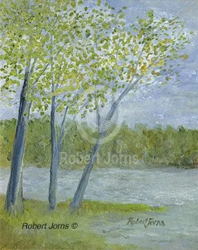 Early Spring Lake Shore Trees ©
Oil On Panel
9"w x 12"h Painting