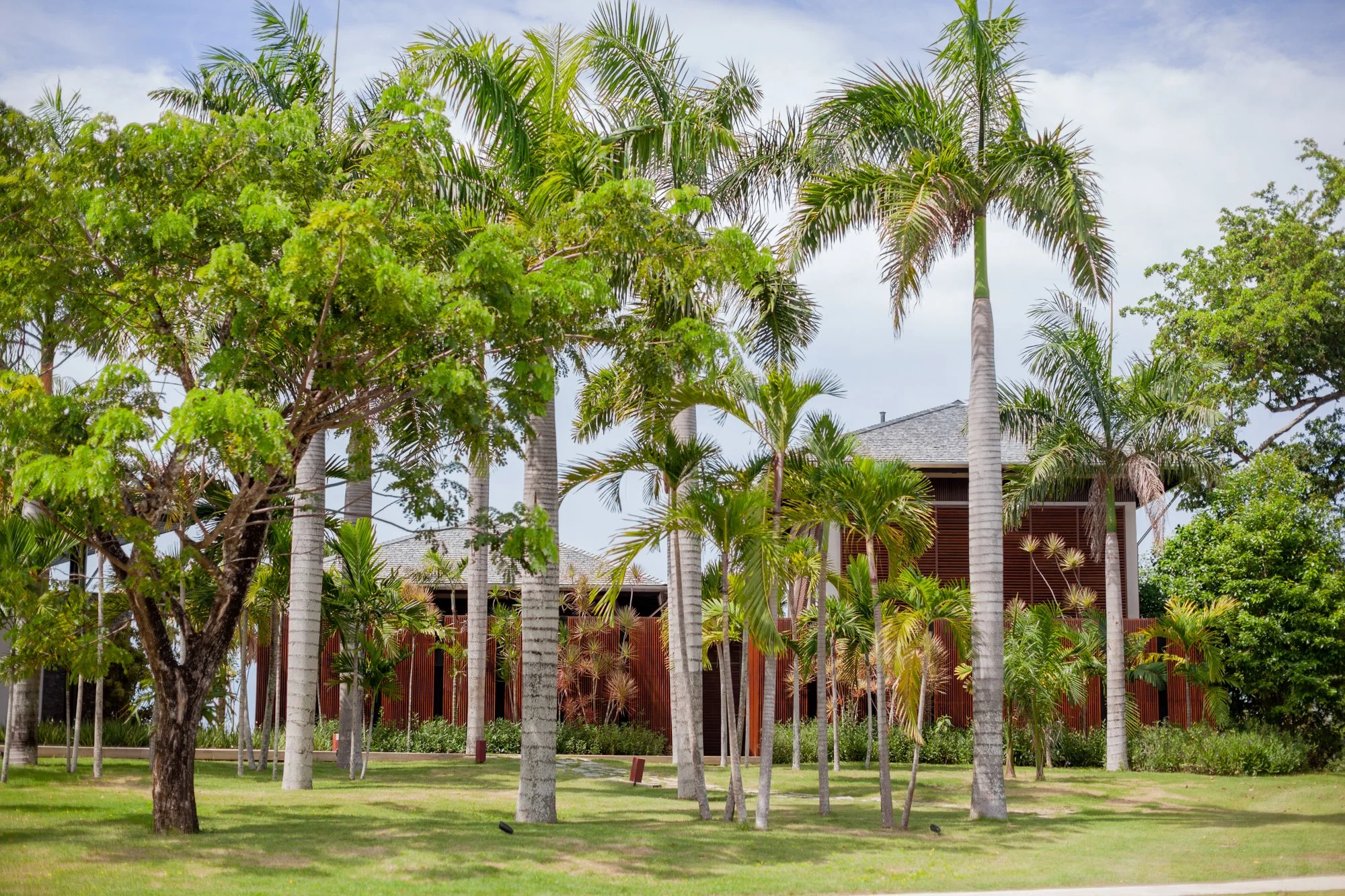 Photos Flor Cafe resized-2.jpg