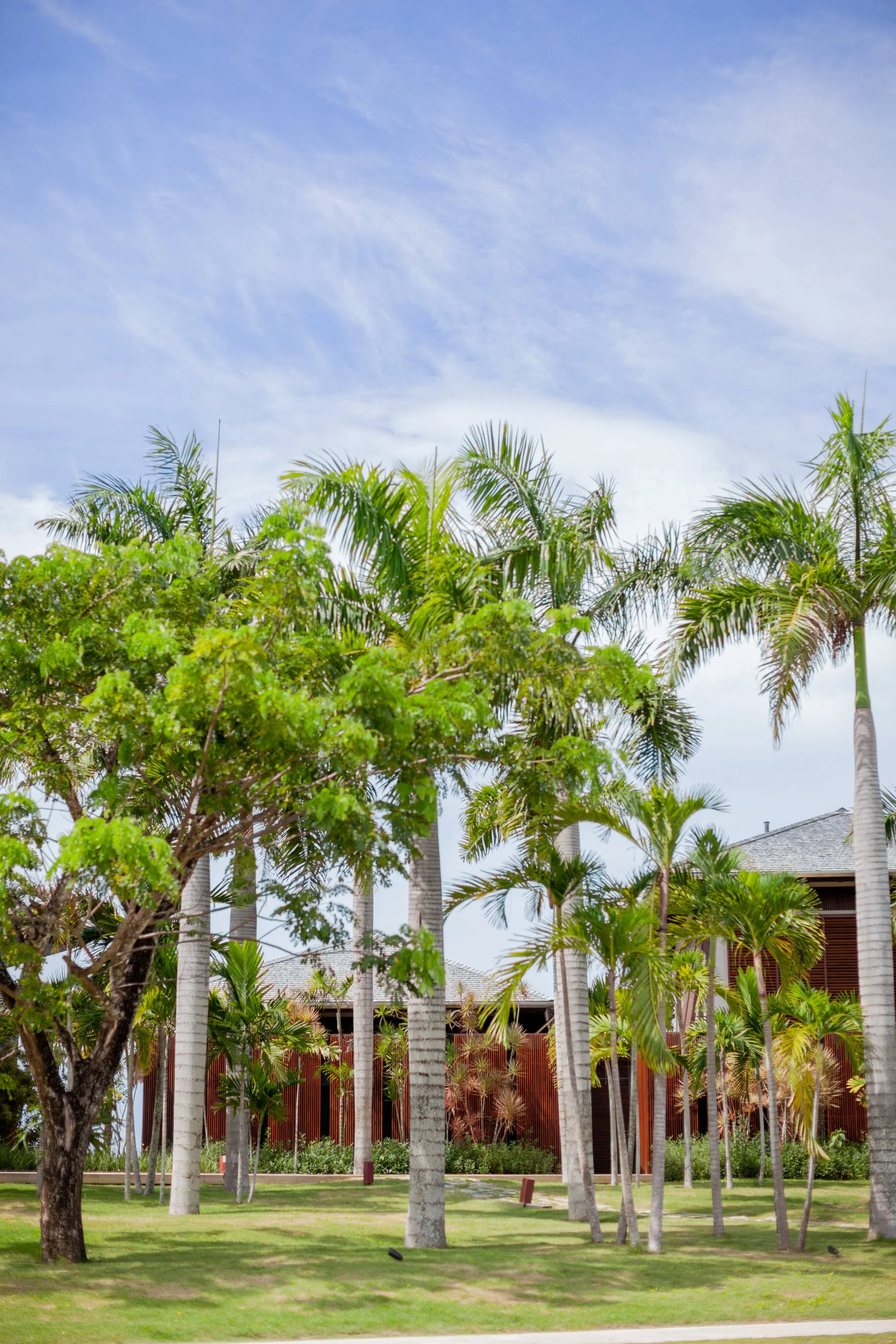 Photos Flor Cafe resized-3.jpg