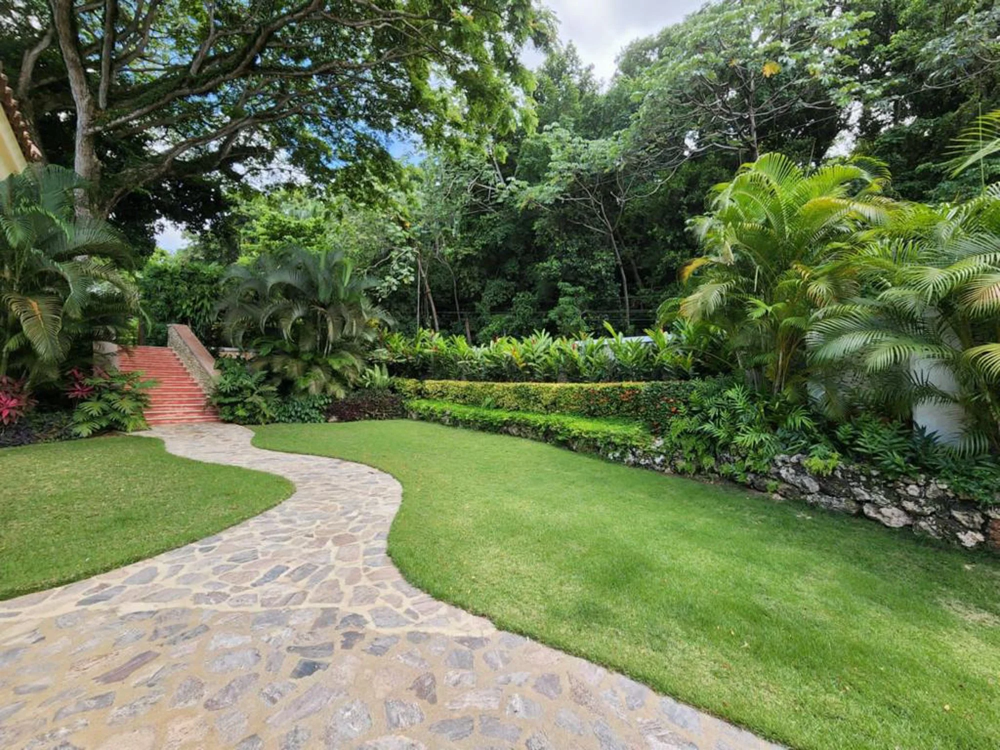 Photos Flor Cafe resized-14.jpg