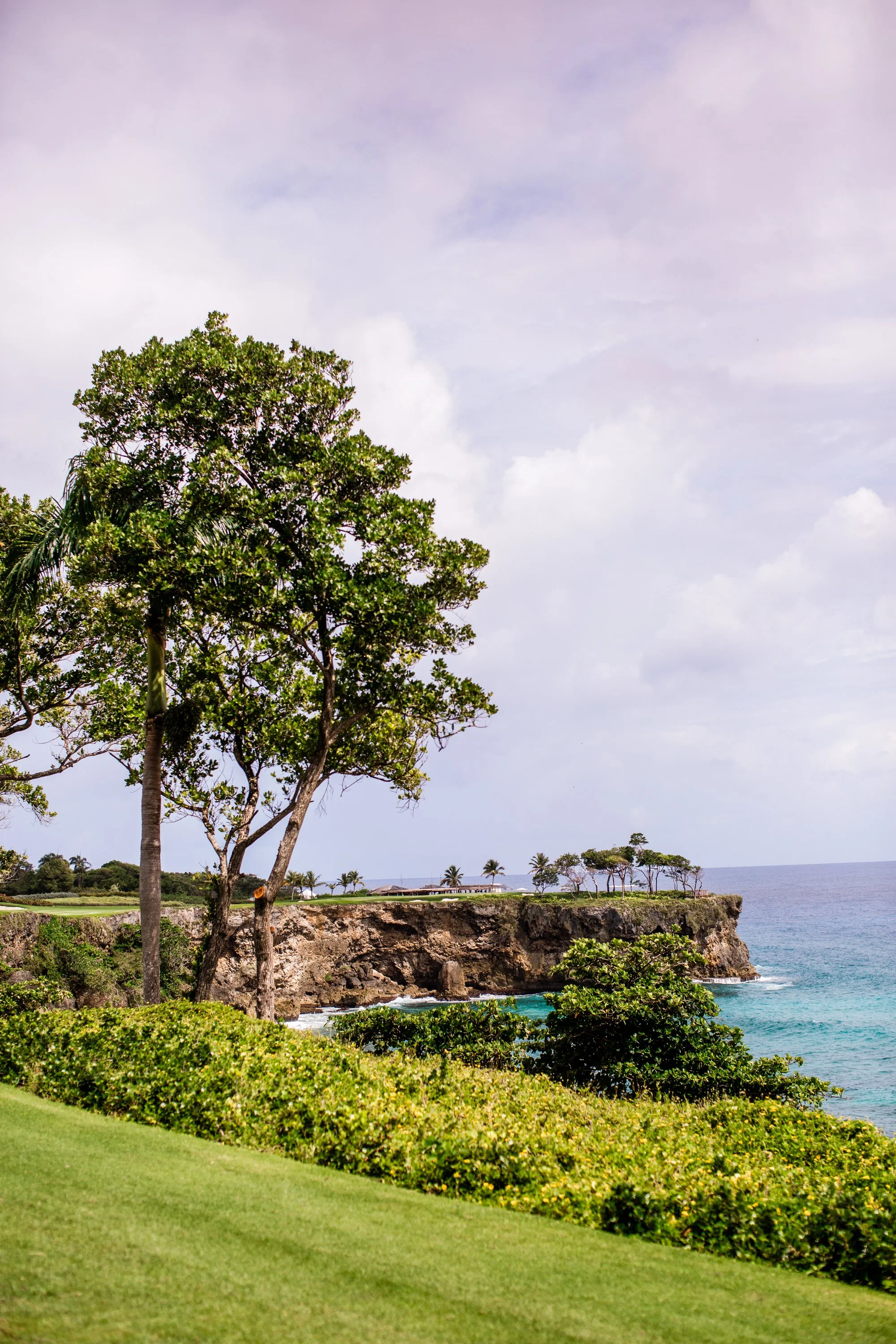 Photos Flor Cafe resized-10.jpg