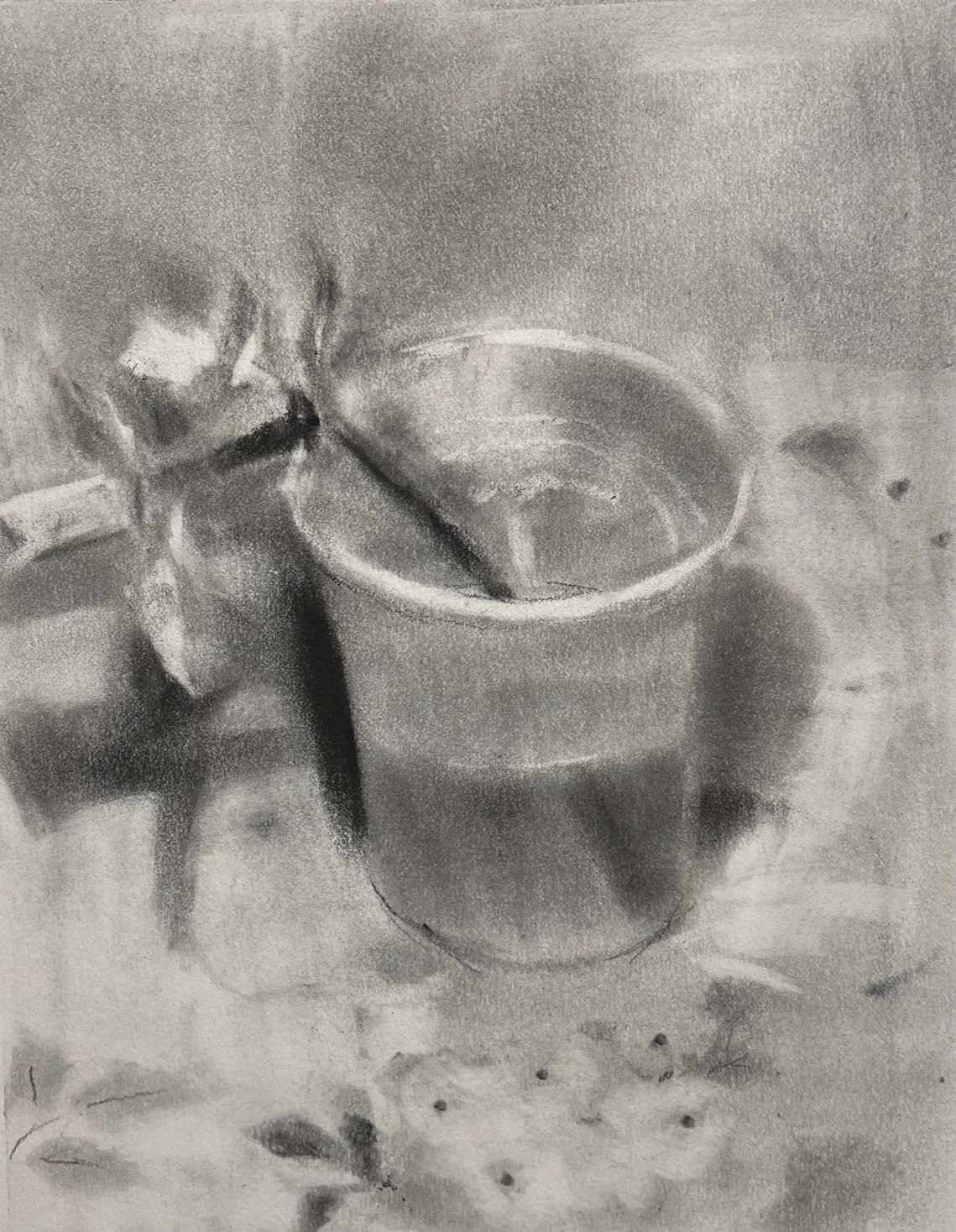 Graphite Still Life Drawings