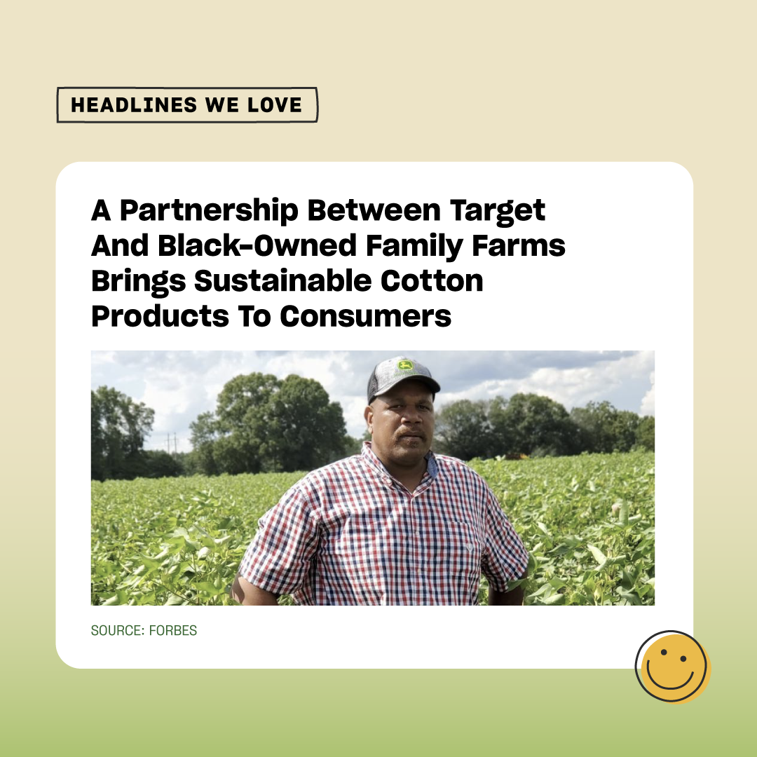 A man standing in a green cotton field on a partly cloudy day, wearing a checked shirt and a cap, with trees in the background. Overlaid text highlights a partnership between Target and Black-owned family farms to produce sustainable cotton products.