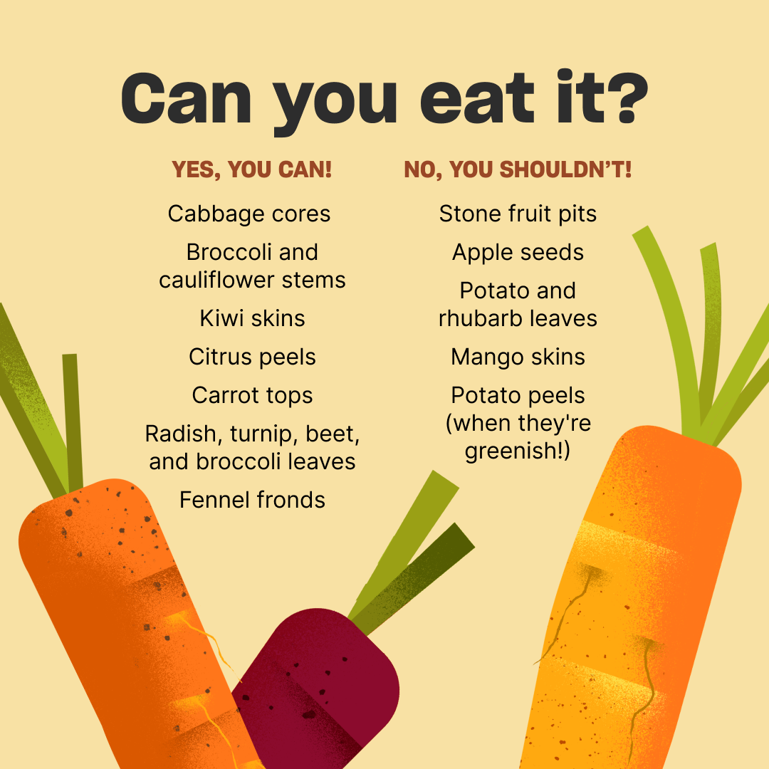 Chart titled 'Can you eat it?' with two columns, 'YES, YOU CAN!' and 'NO, YOU SHOULDN'T!', listing vegetables and fruits like cabbage cores, broccoli stems, kiwi skins, citrus peels, carrot tops, radish, turnip, beet, broccoli leaves, fennel fronds, stone fruit pits, apple seeds, potato, rhubarb leaves, mango skins, and potato peels.