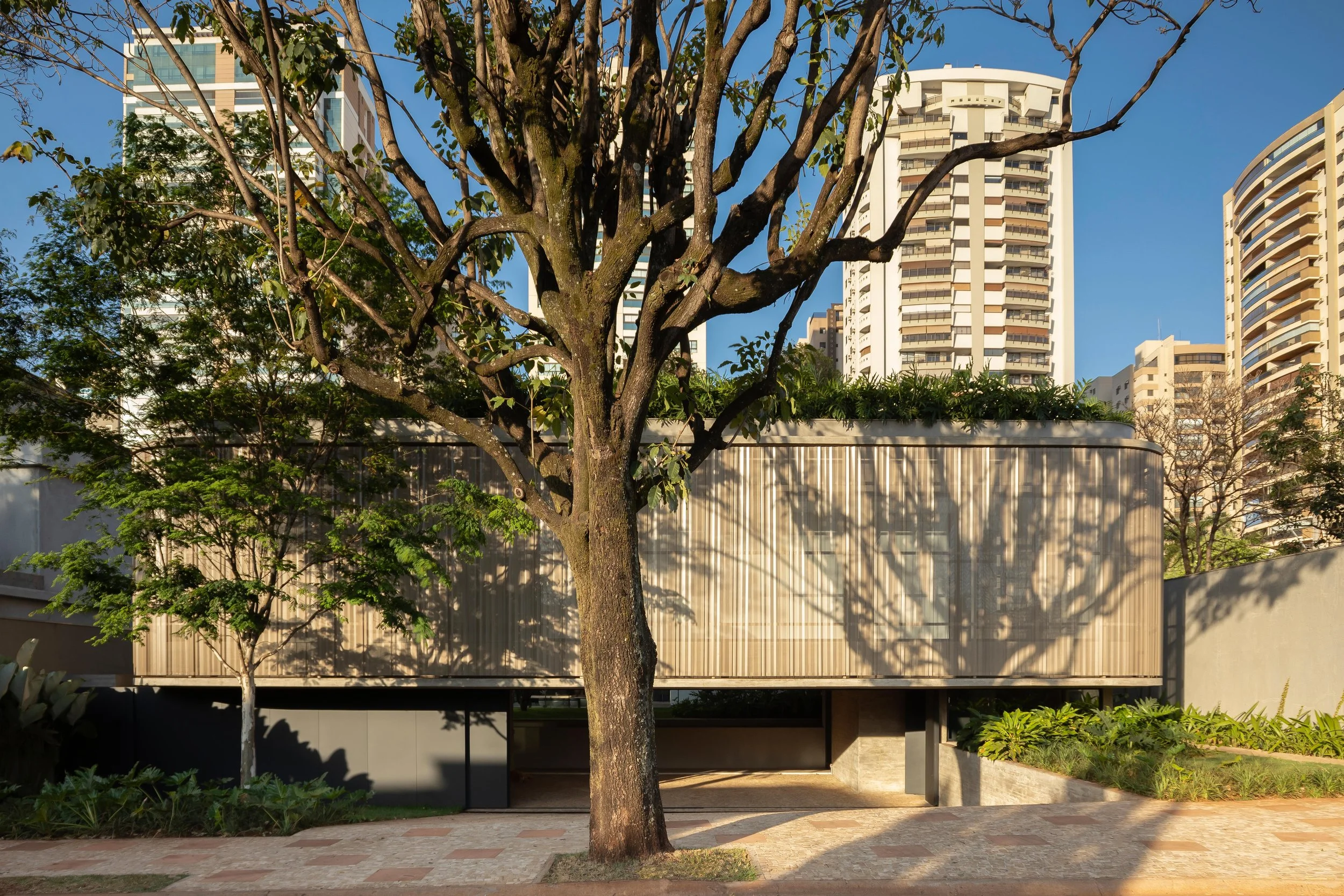 STUDIO MEMO - Foto -  Carolina Mossin_048.jpg