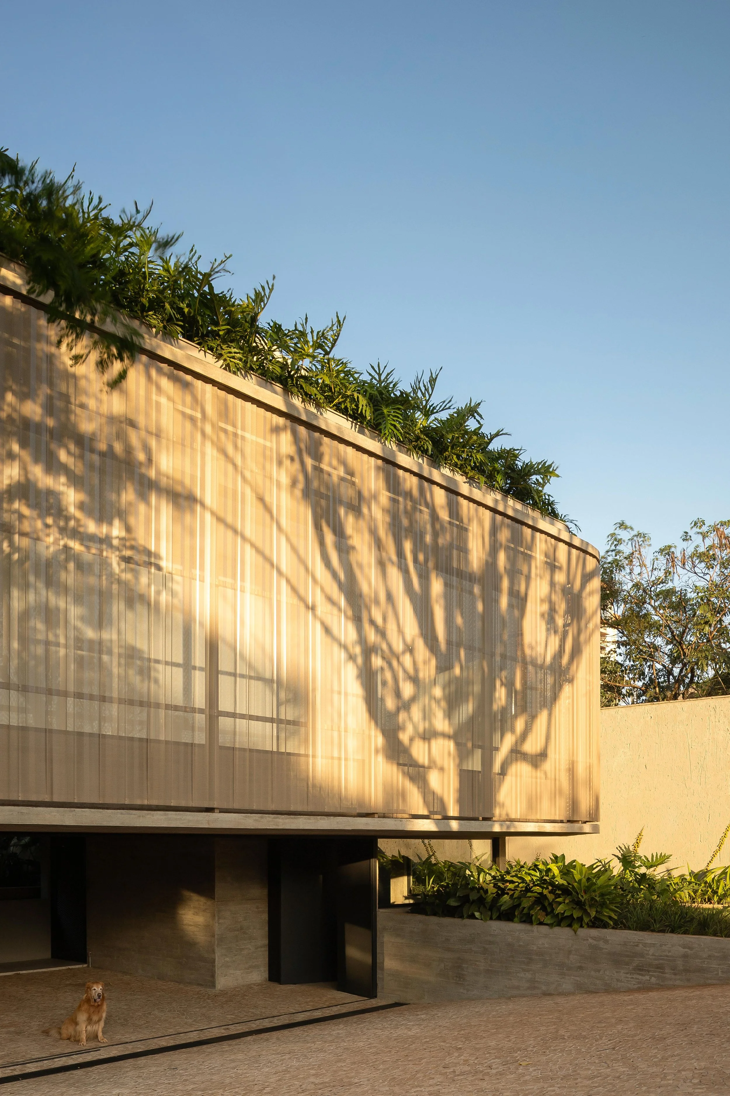 STUDIO MEMO - Foto -  Carolina Mossin_053.jpg