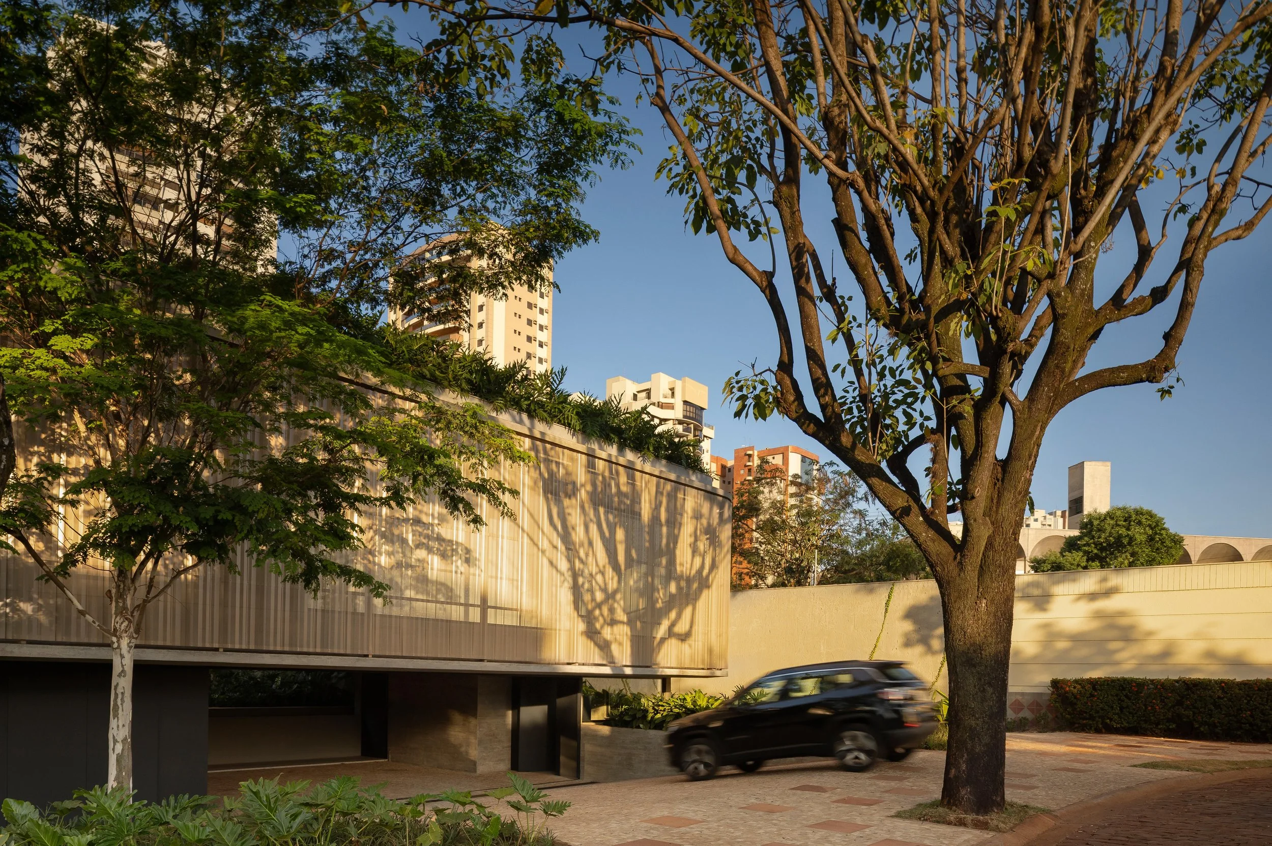 STUDIO MEMO - Foto -  Carolina Mossin_049.jpg