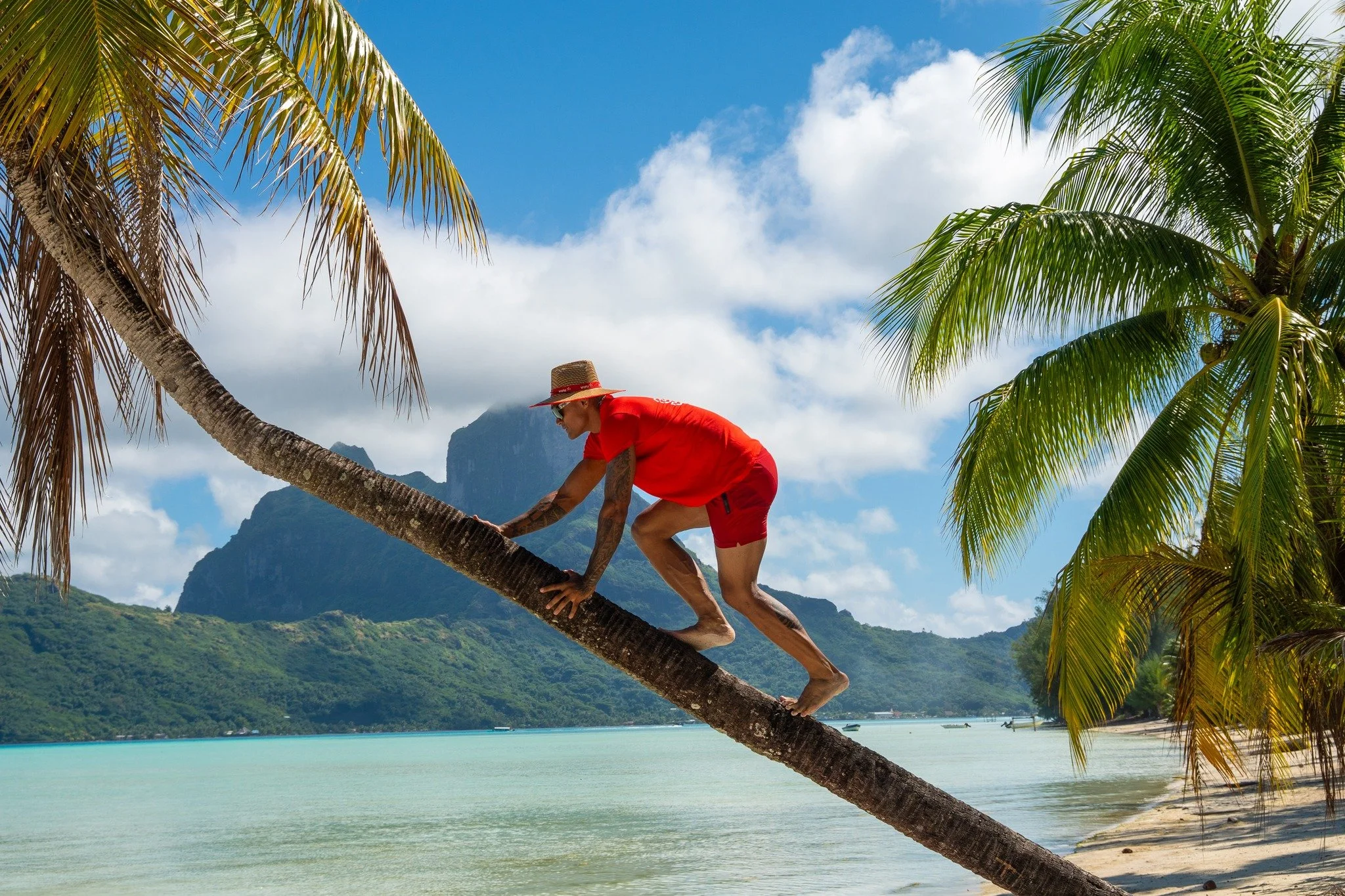 Bienvenue dans notre DAY 2 ! (on t'attends dans les commentaires avec un &quot;Let's go N(?)&quot; pour montrer ton candidat pr&eacute;f&eacute;r&eacute;)

🌺 Bora Bora a &eacute;t&eacute; le lieu du partage, de la transmission, de la d&eacute;couver
