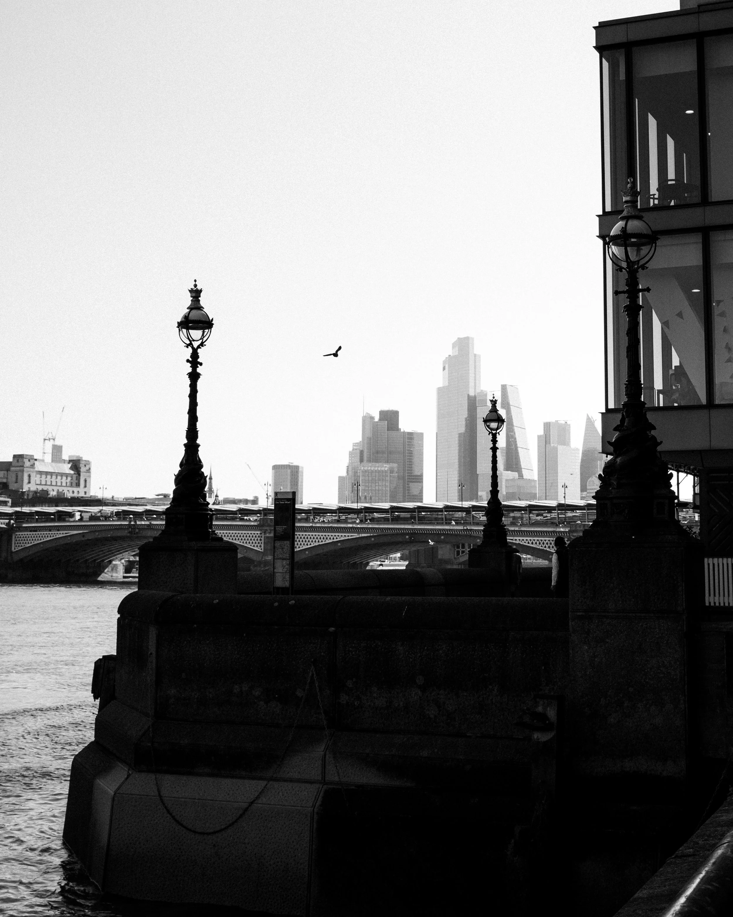 DSCF8257.jpg