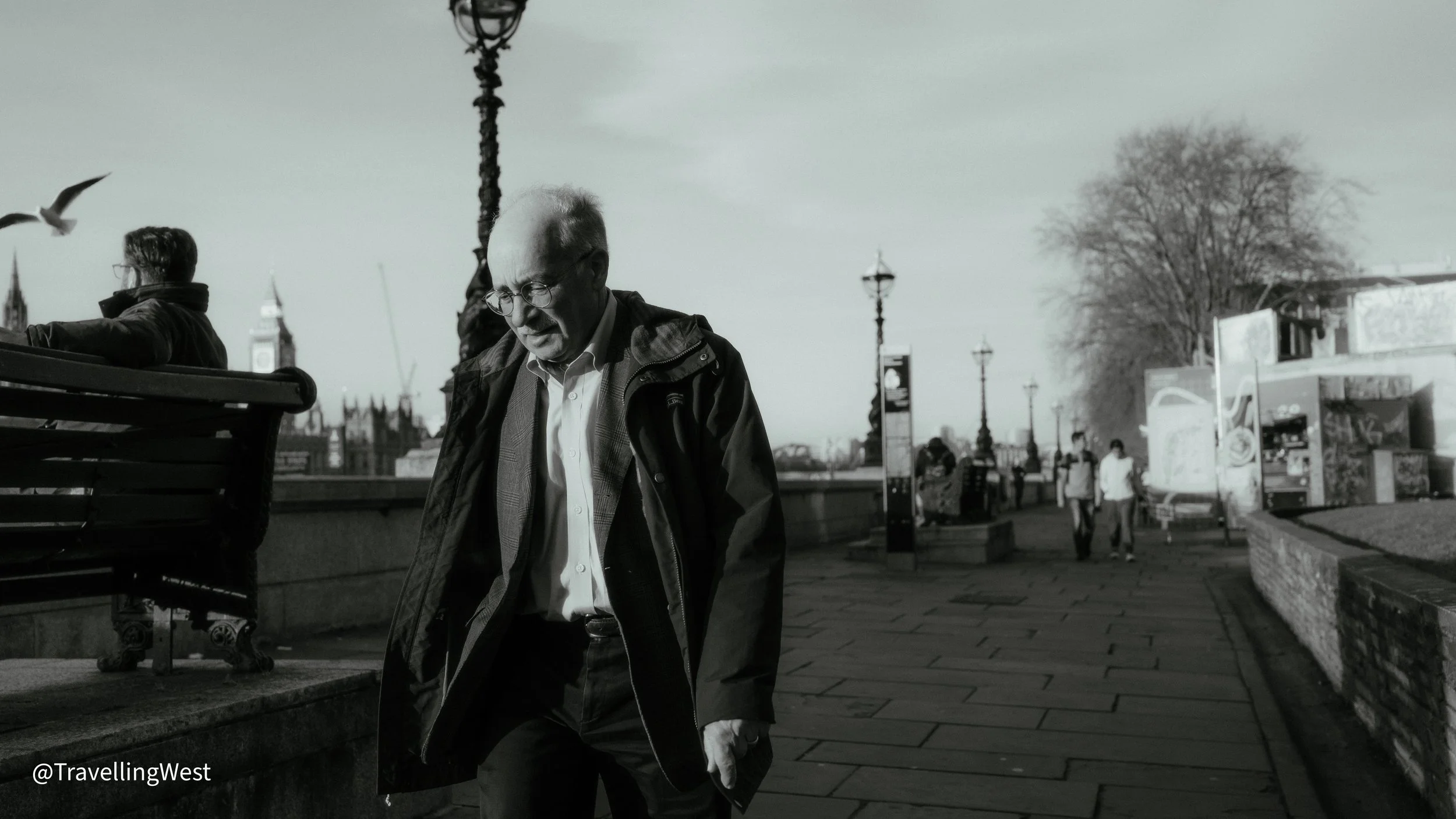 DSC09995.jpg