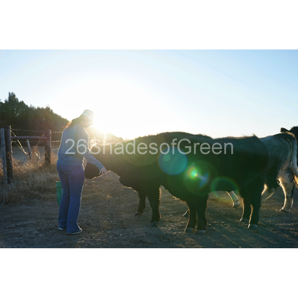 image_original_ef83b604f0f5a93f138079d5a55490f2.png