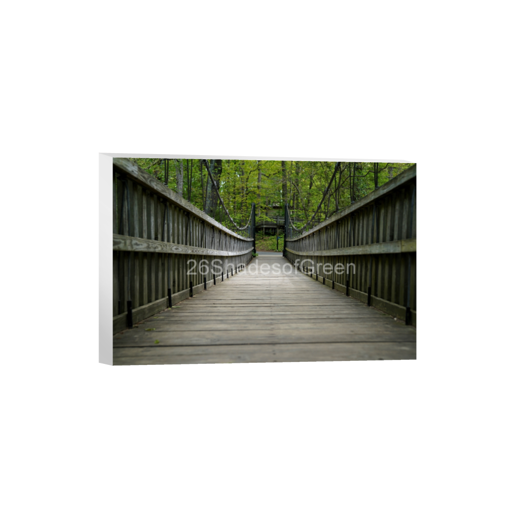 ptq_7_3_0_0_6000_4000_0_false_ffffff_0_0_ef83b604f0f5a93f138079d5a55490f2.png