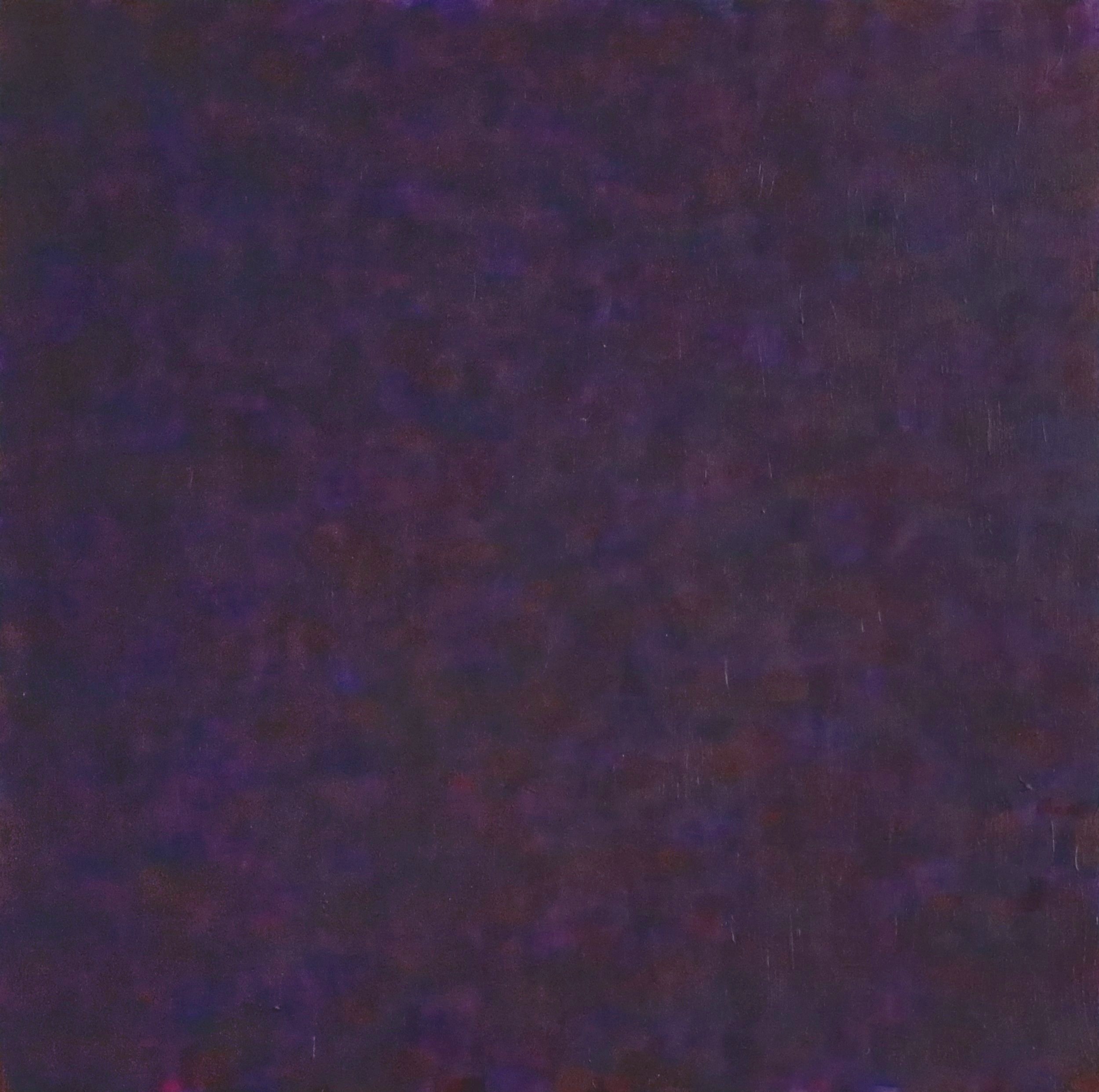 Violet_February2018_12x12_acrylic on panel
