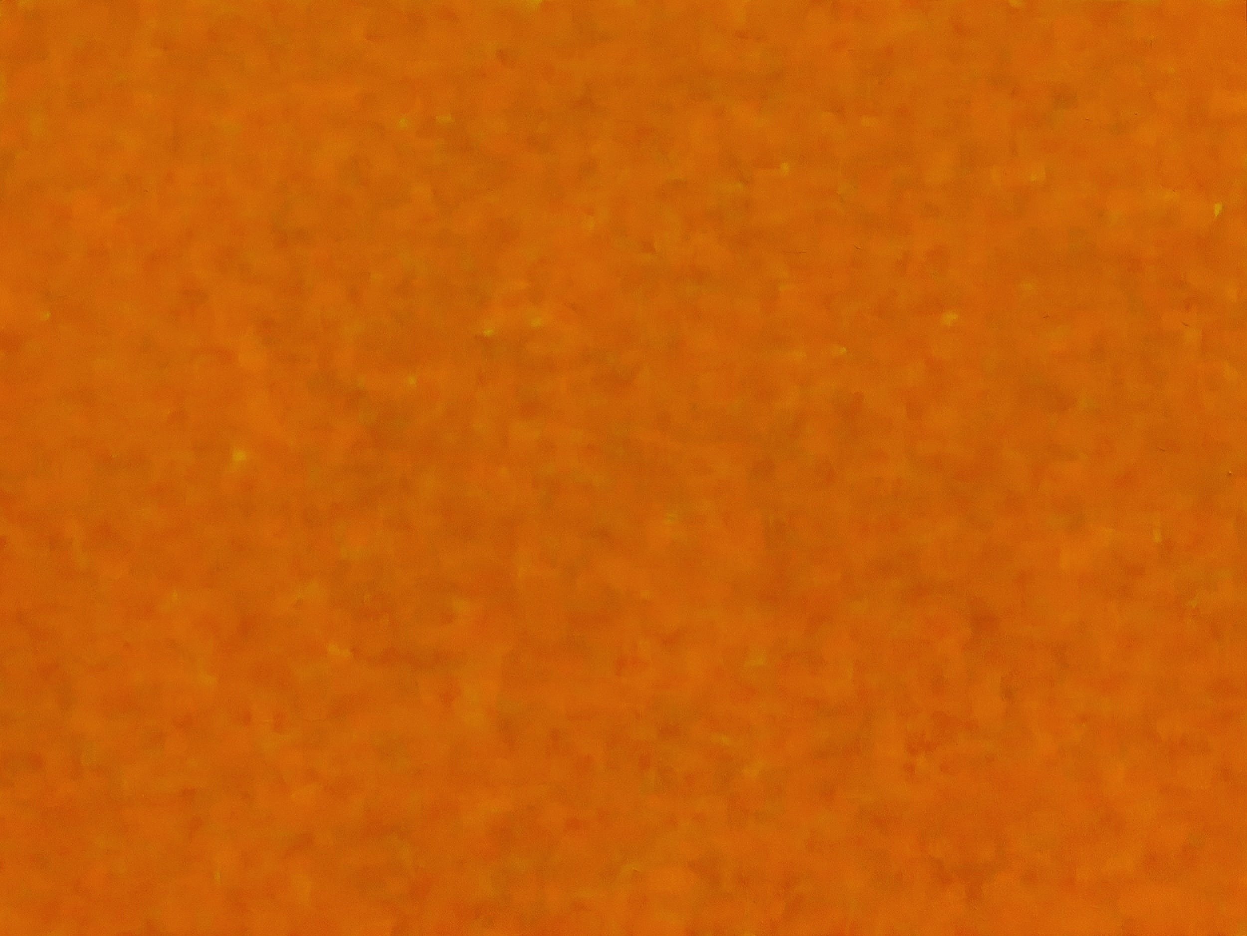 Orange_February2021_12x16_acrylic on panel
