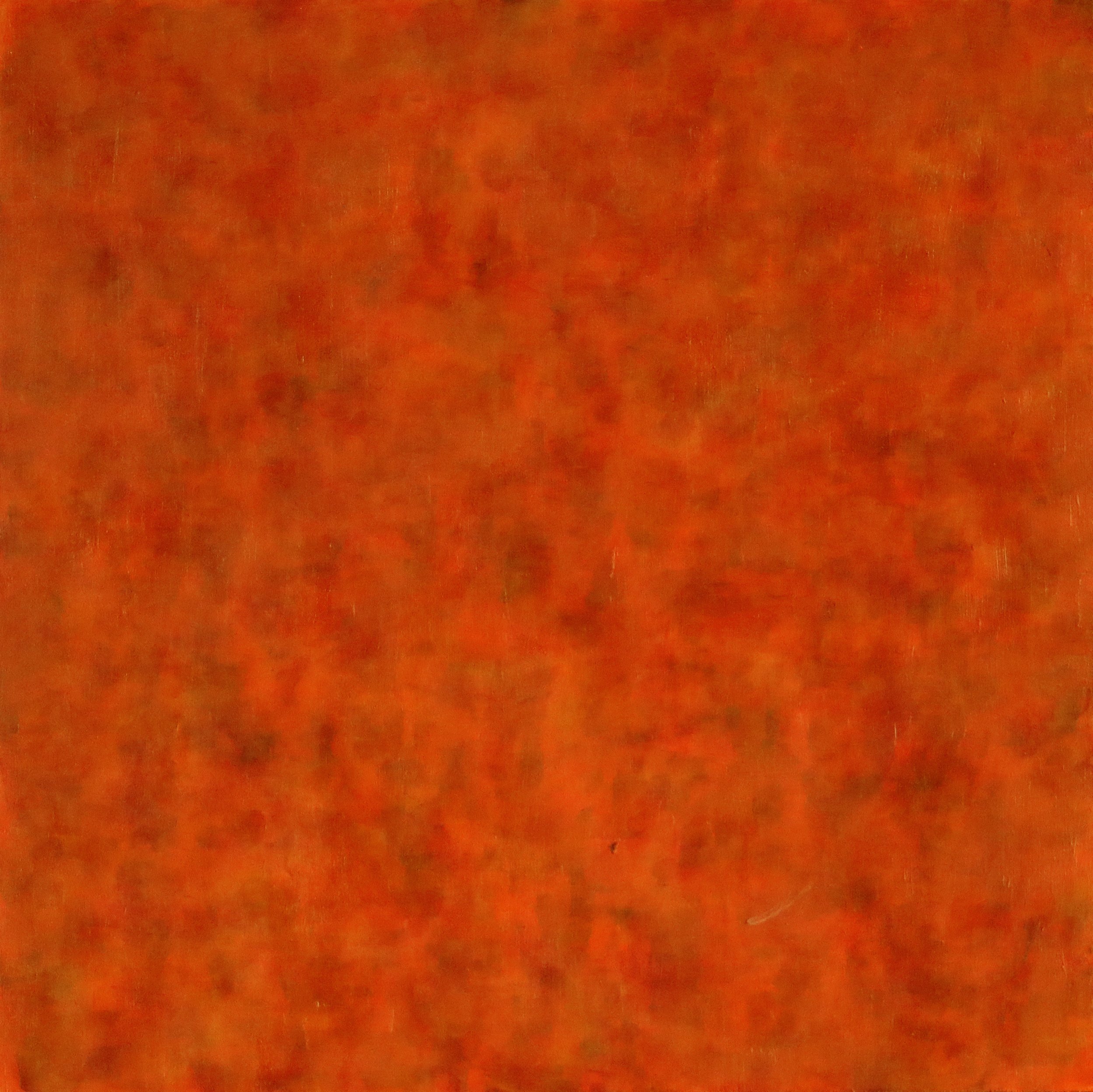 Orange_April2018_12x12_acrylic on panel