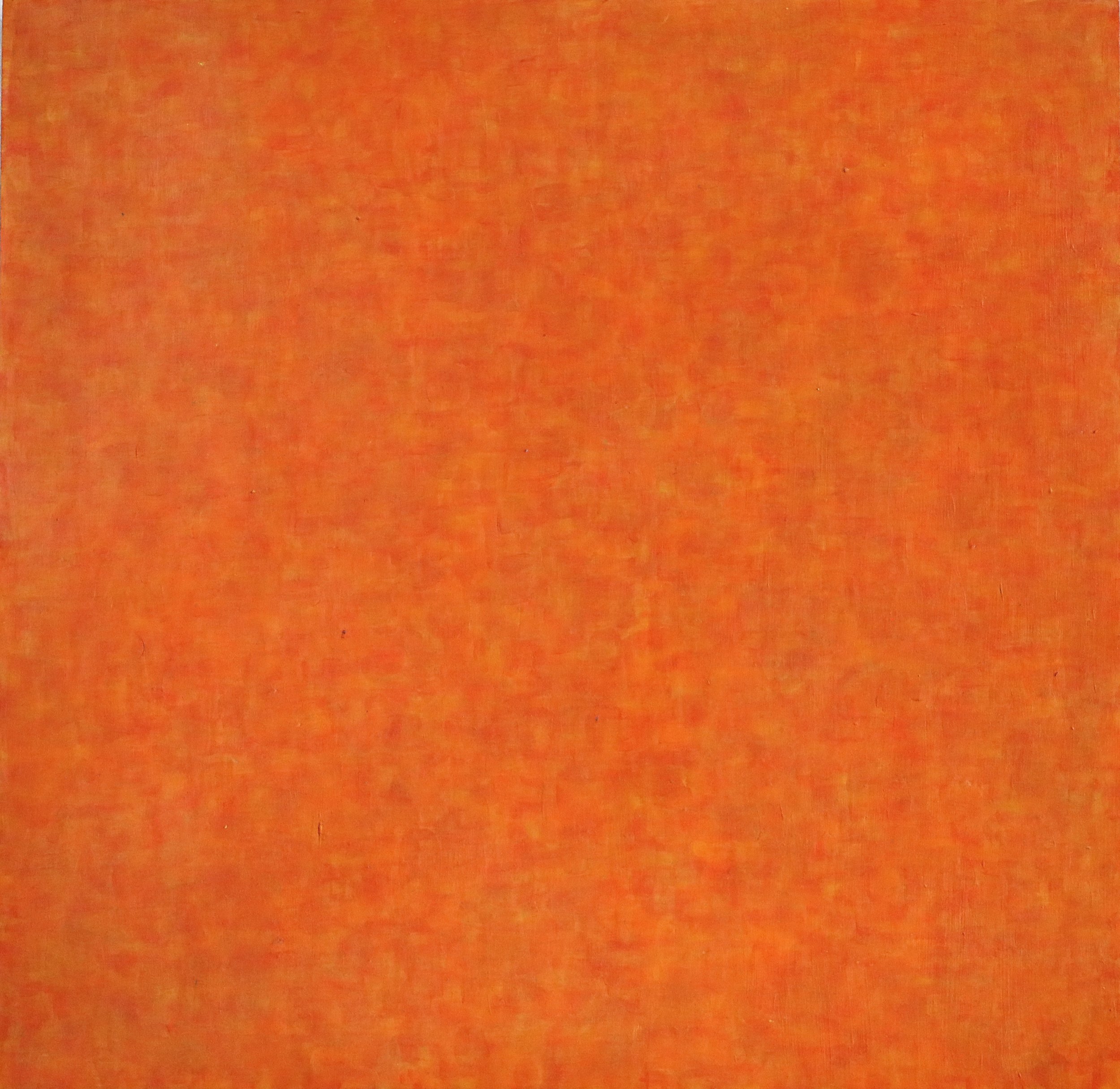 Orange_June2019_16x16_acrylic on panel
