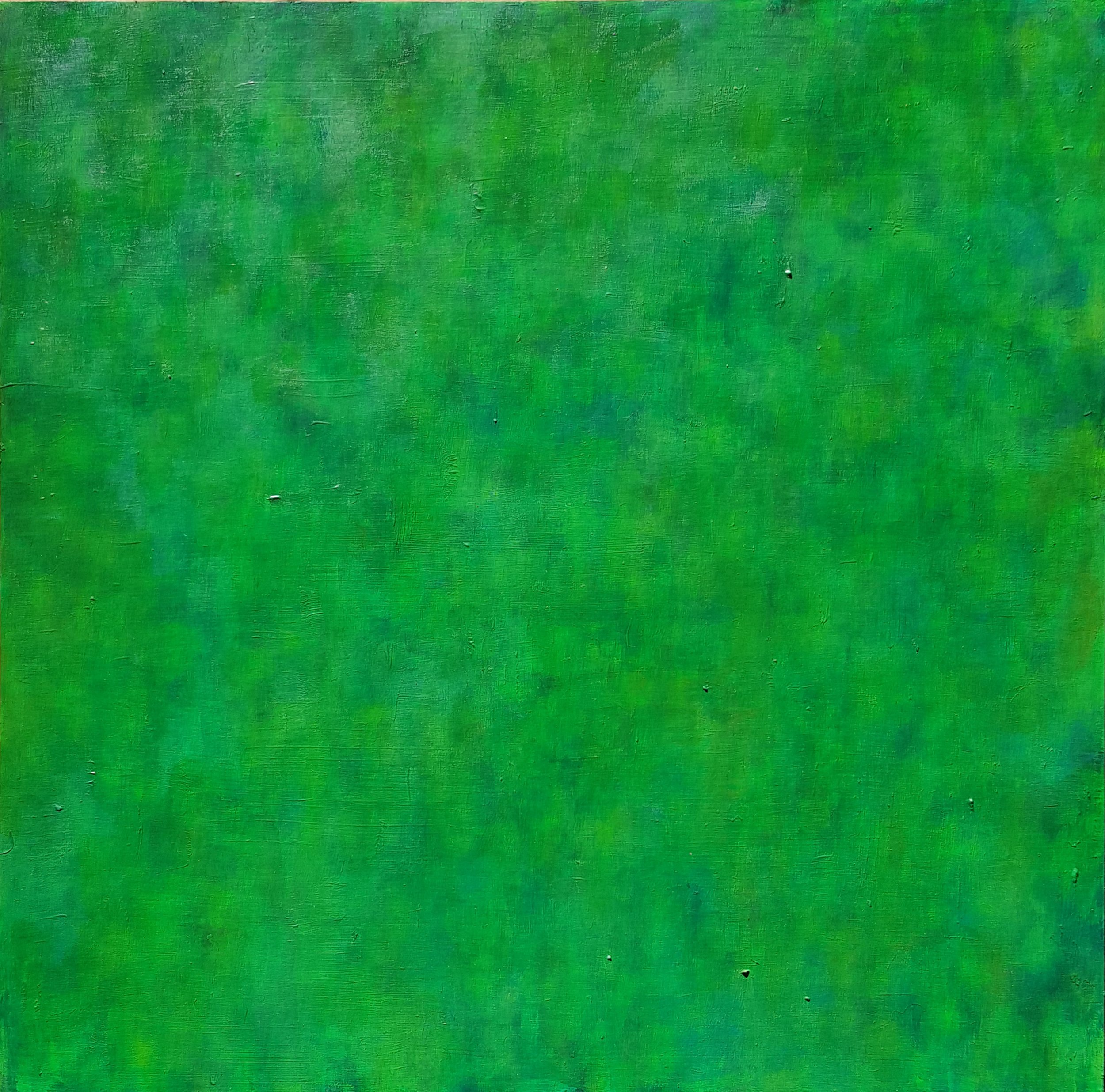 Green_January2018_20x20_acrylic on panel