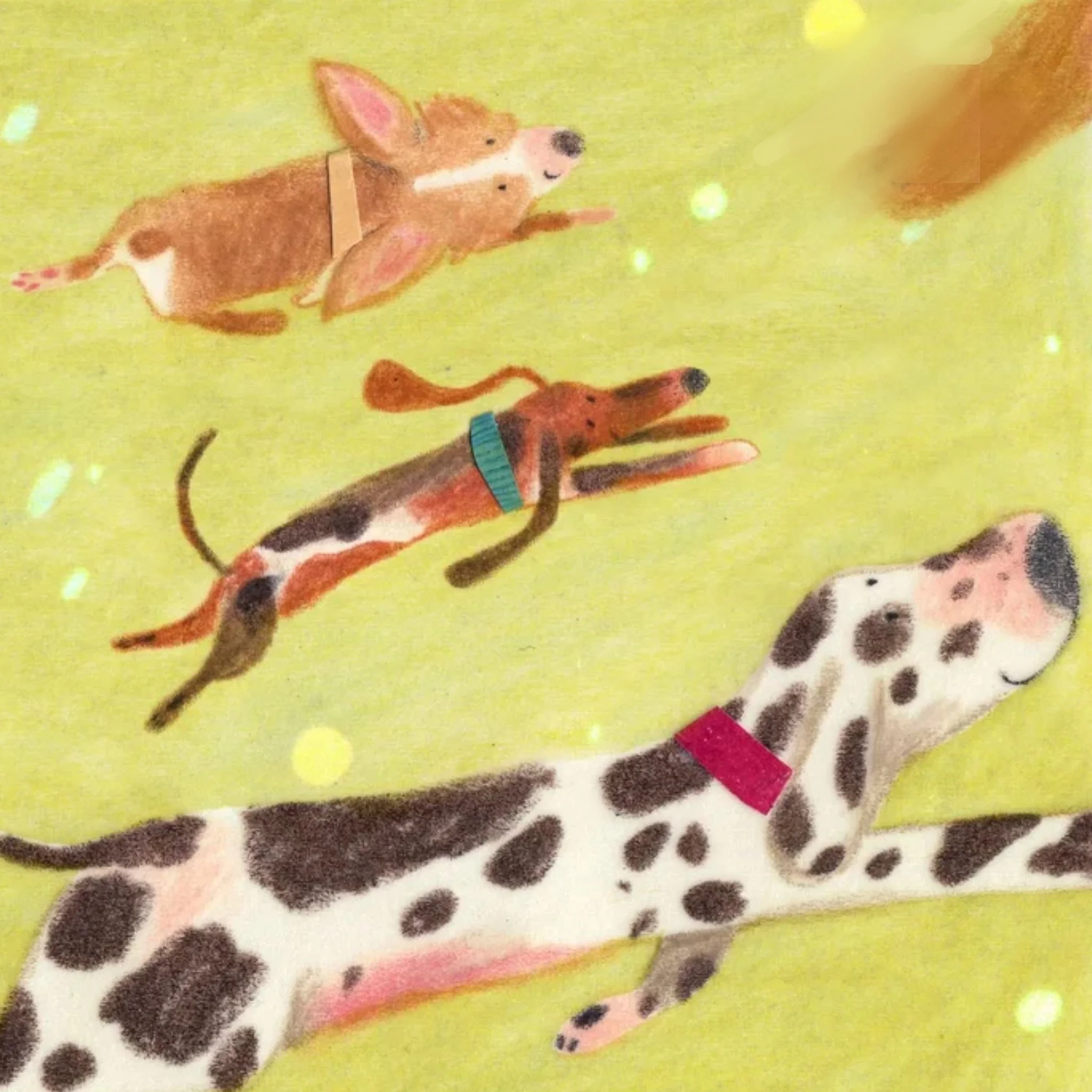 Wednesday Illustration |  11 am - 12:30 pm