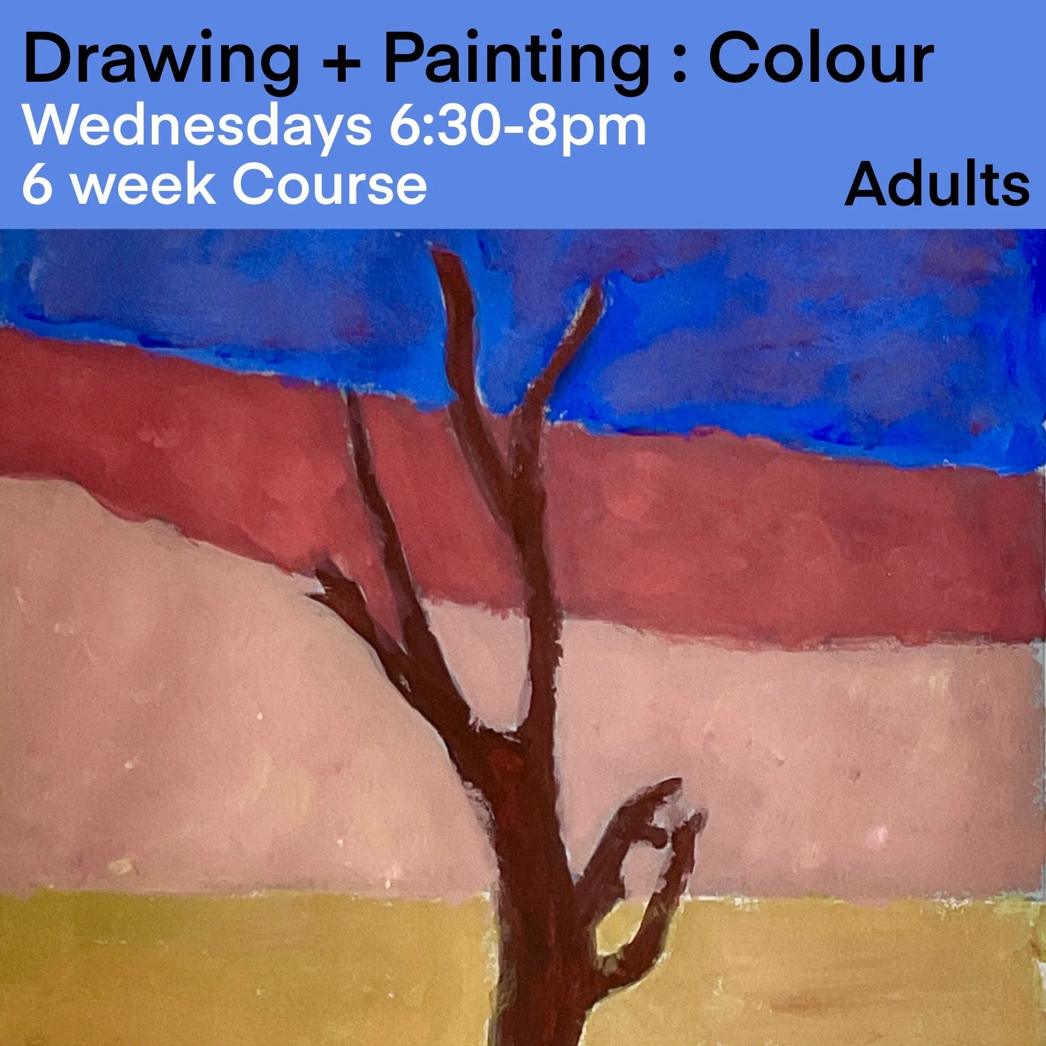 Adult Drawing and Painting Course - Colour