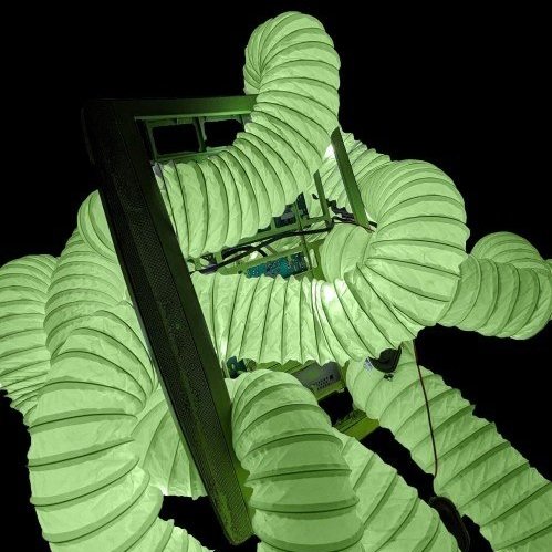 65524.jpg