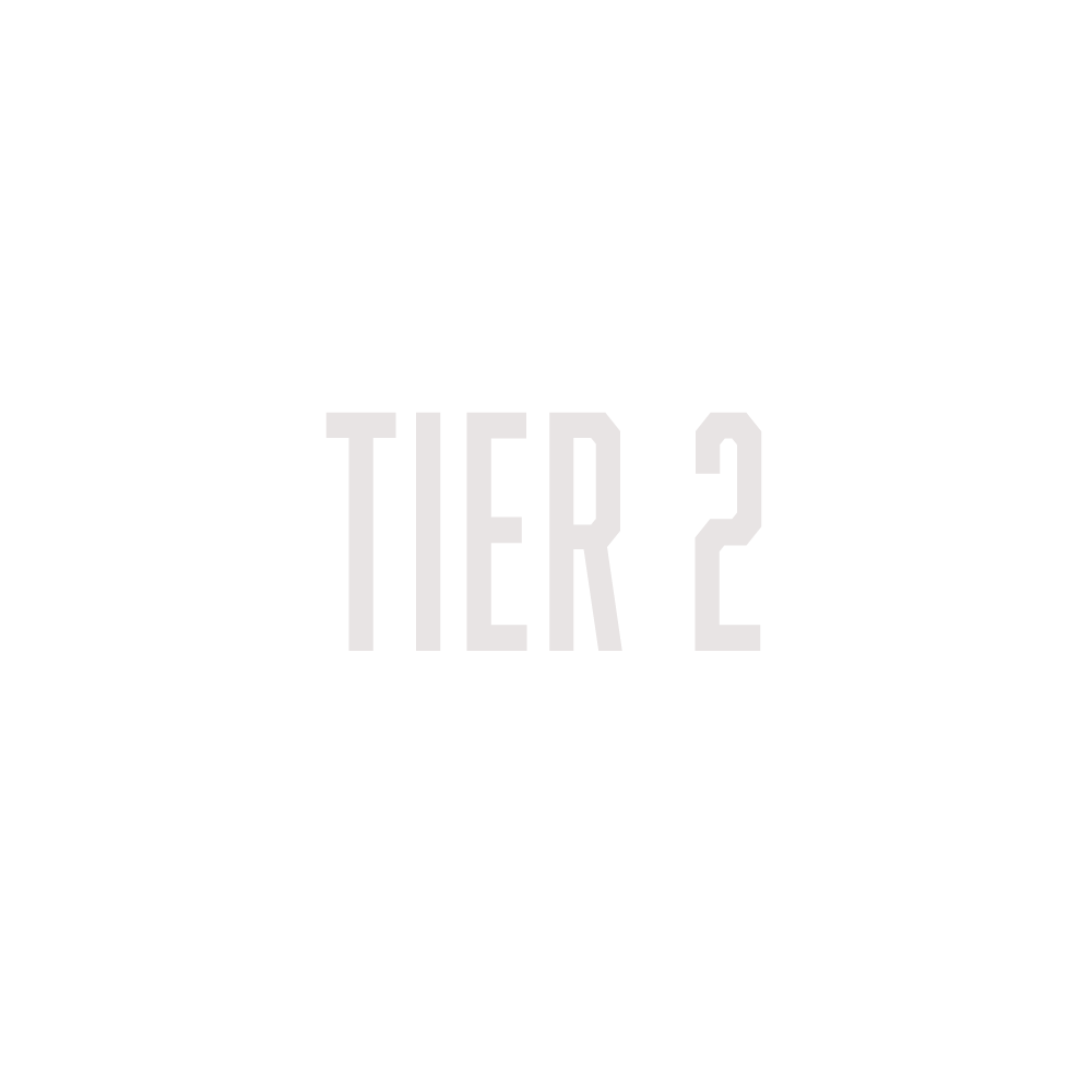 Tier 2