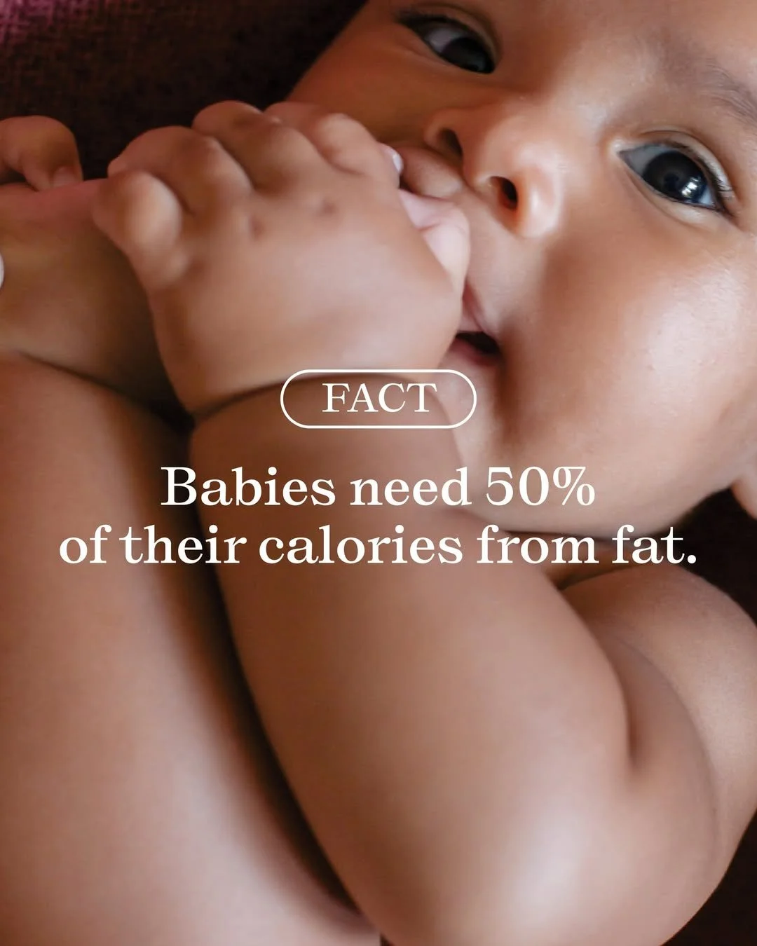 Babies need fat.jpg