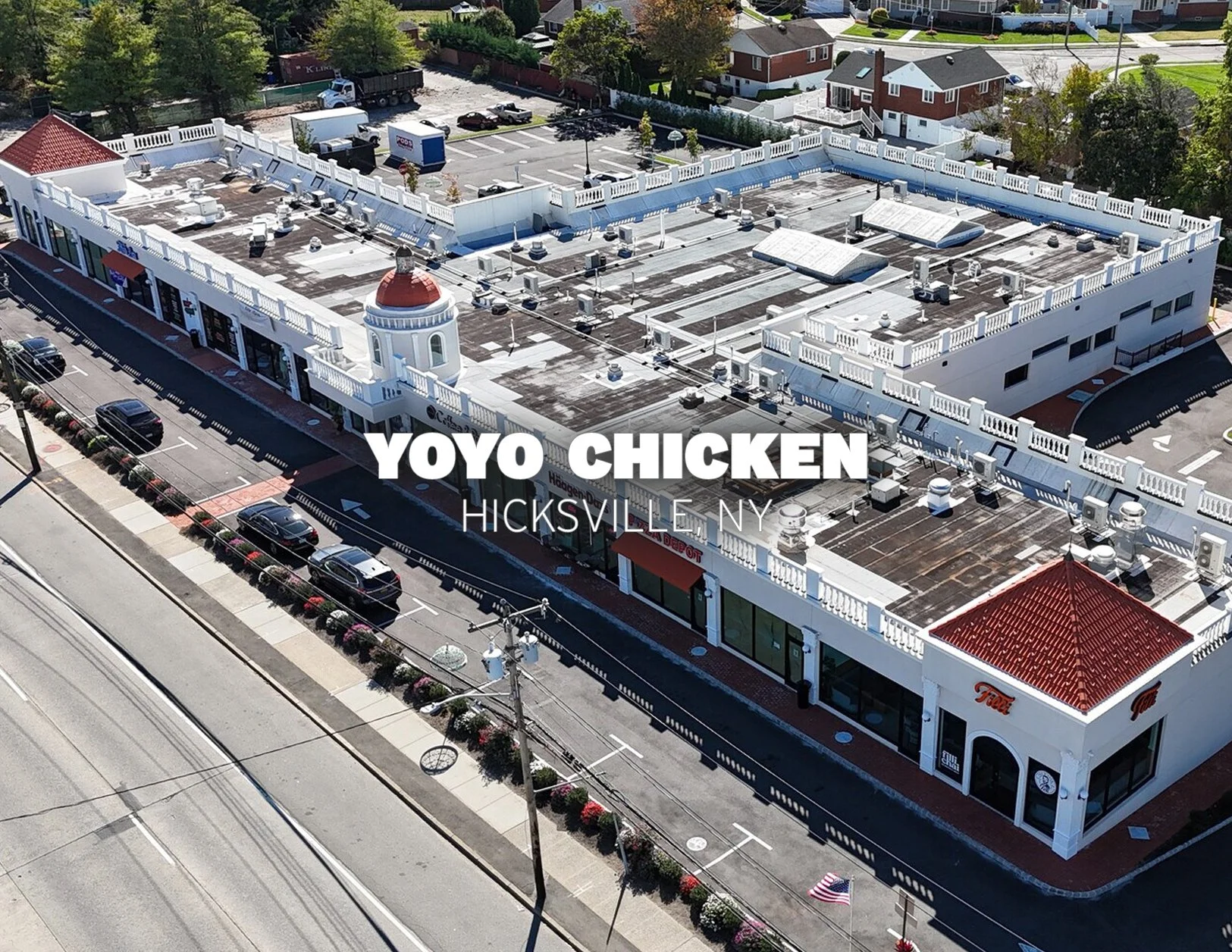 YoYo ChickenHicksville.jpg