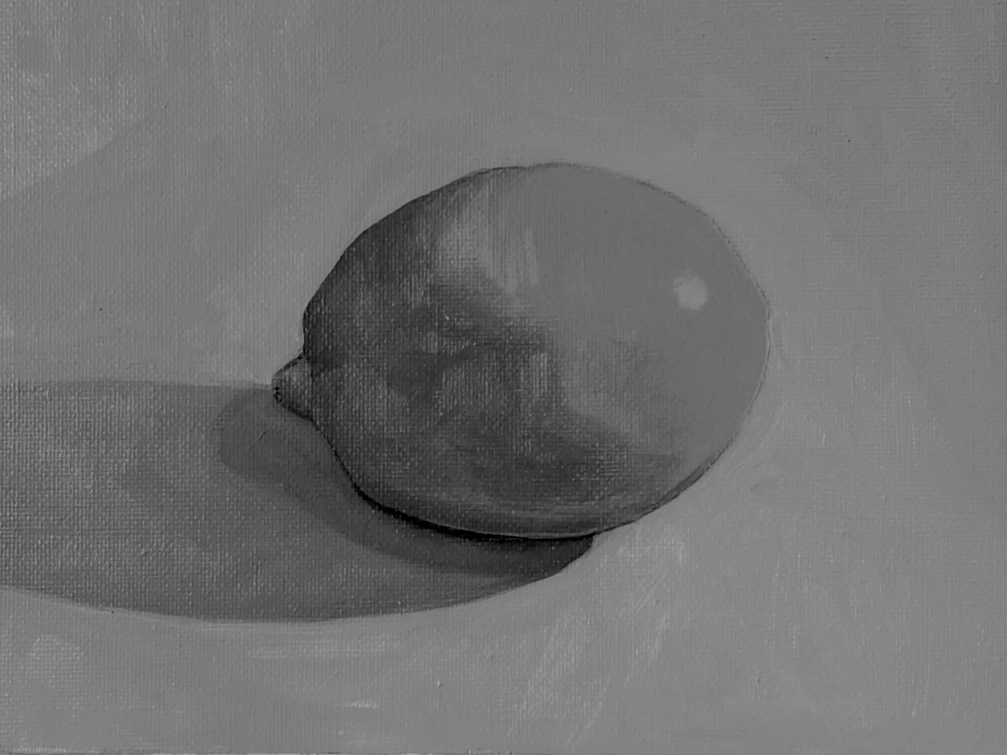 Oil Painting for Beginners - Summer 2026