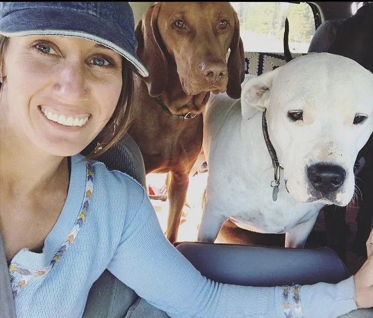 Raw Pet Food in Oregon Raw Dog Food Raw Cat Food