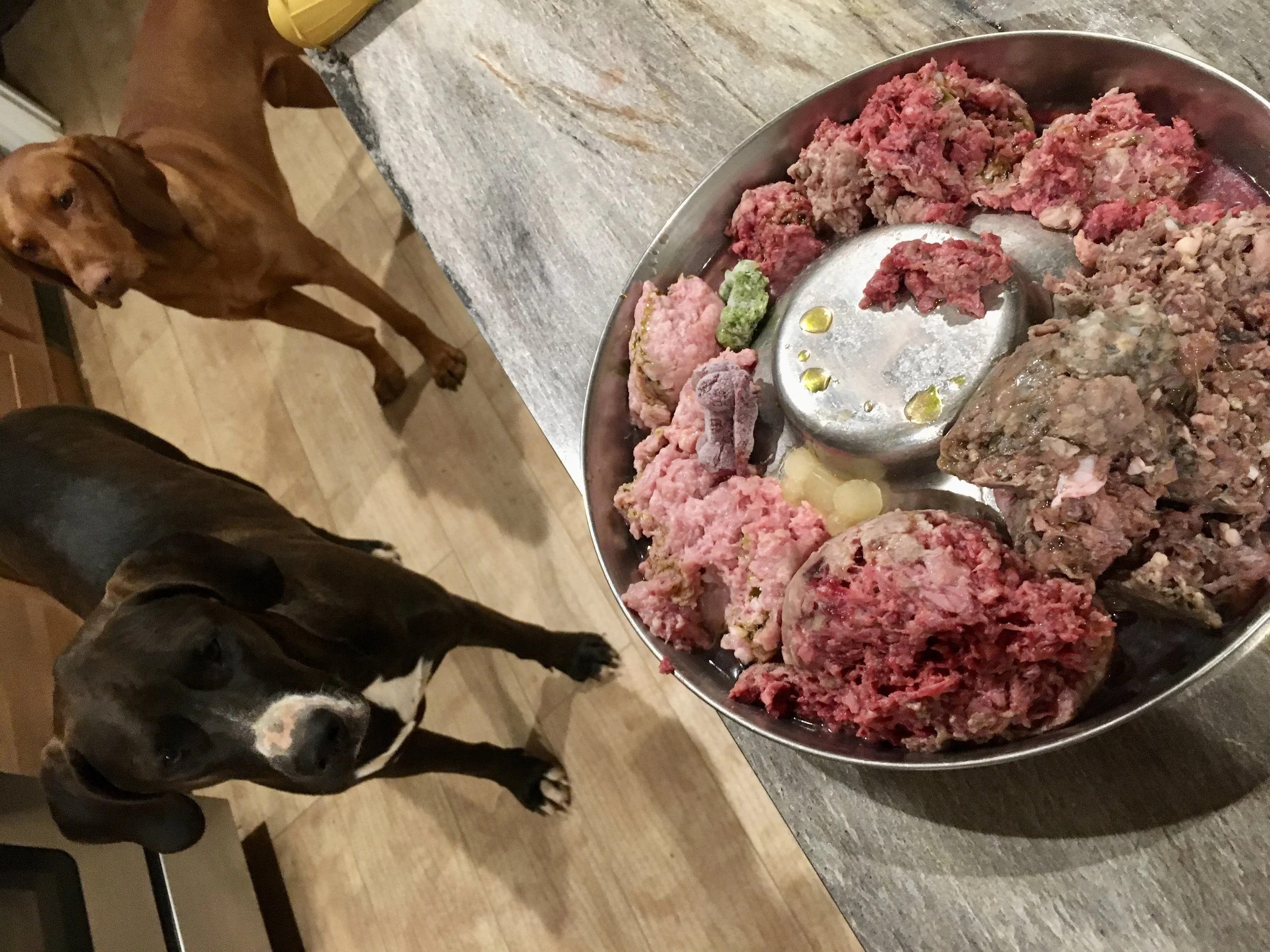 Raw Pet Food in Oregon