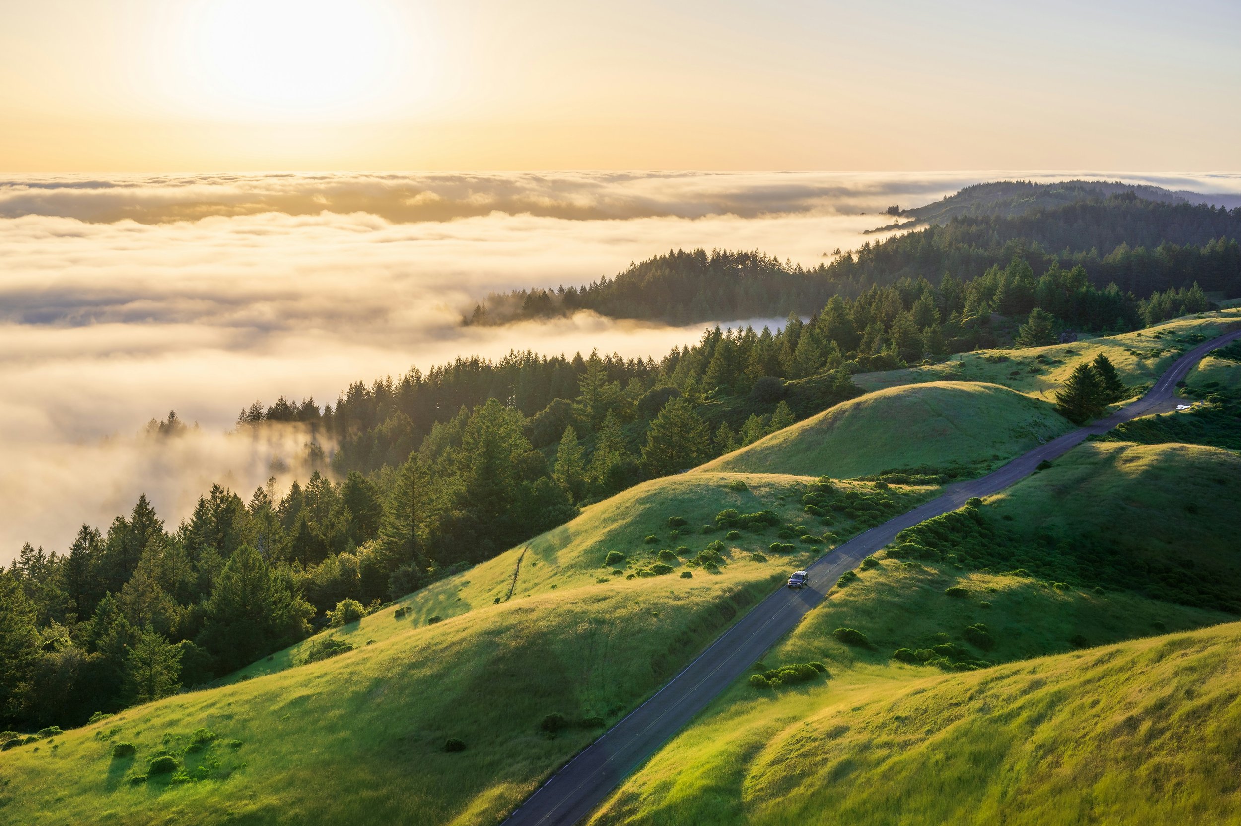 Discomfort Intolerance and ADHD: Why Small Things Feel Unbearable and What You Can Do About It