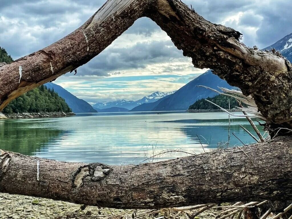 You never know what amazing vistas are on the horizon! 

This picture was shared by one of our recent riders! 

Explore Skagway in a unique and fun way!  We guarantee a ride on our e-bikes will be a highlight of your trip!
.
.
.
#klondikeelectric #kl