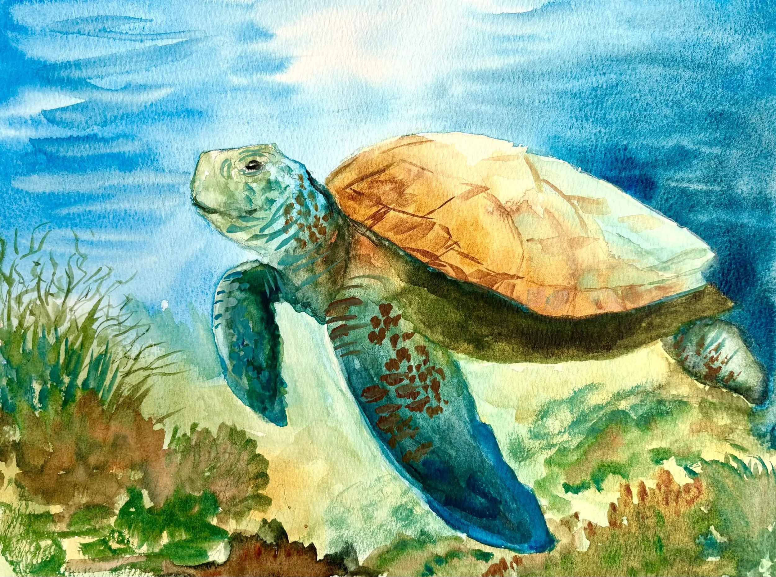 Under the Sea | Intermediate Watercolor Class