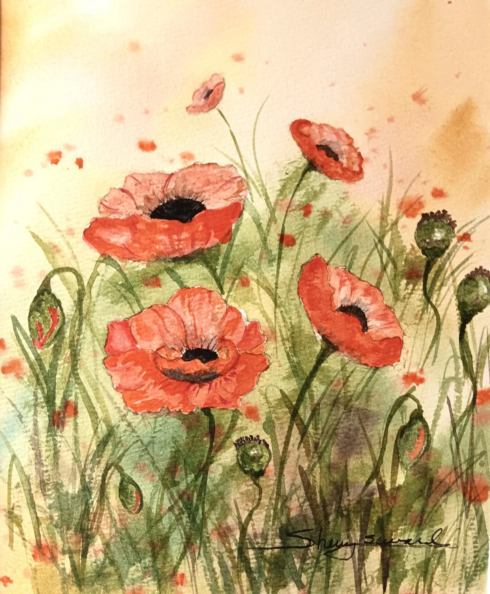 Poppy Field Intermediate Watercolor