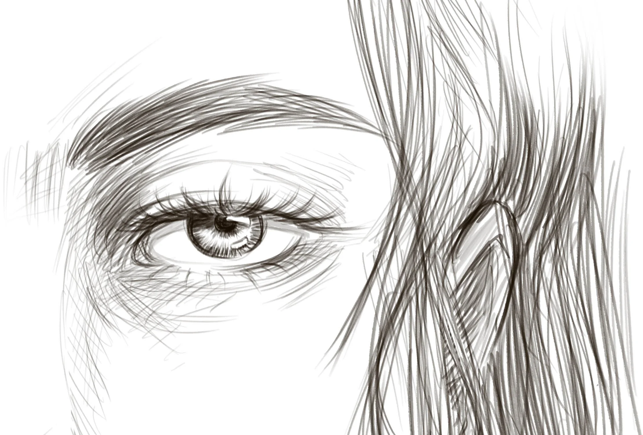 Beginner Portrait Class | September