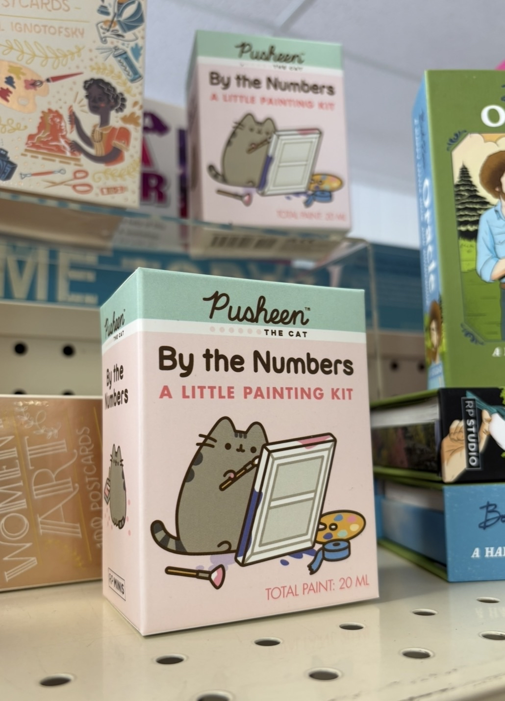 Pusheen Mini Paint-by-Number Set