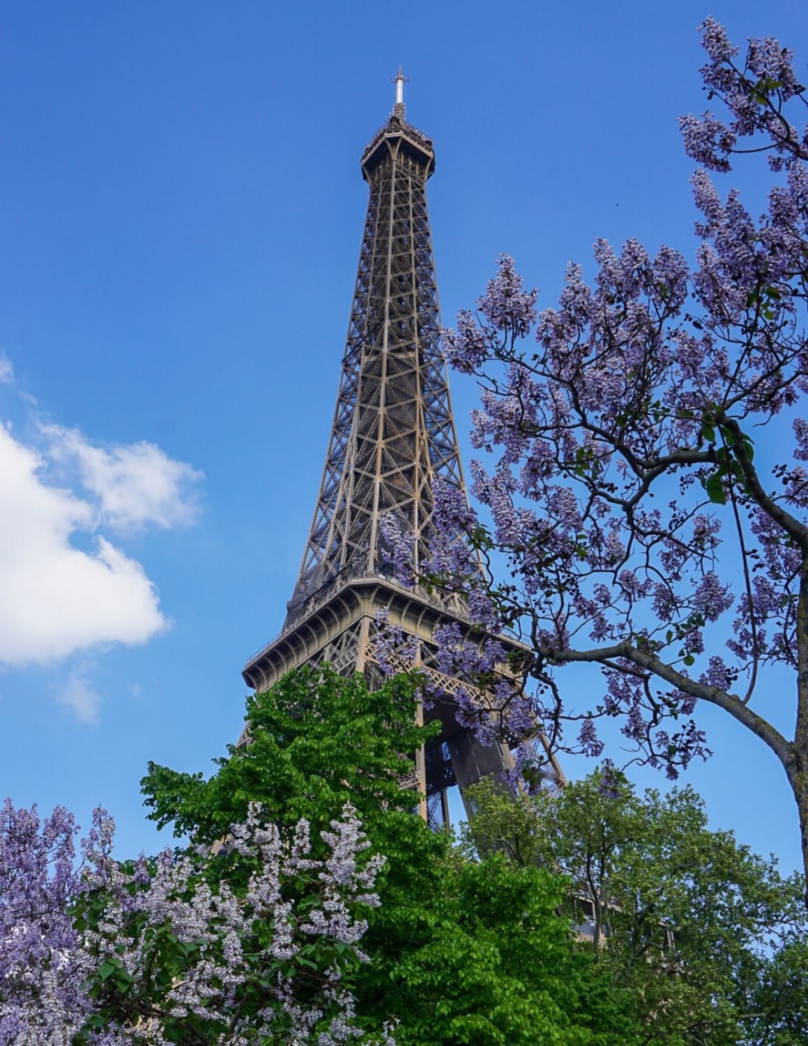 Tour Eiffel, Paris, France (2022) by Julie Schell