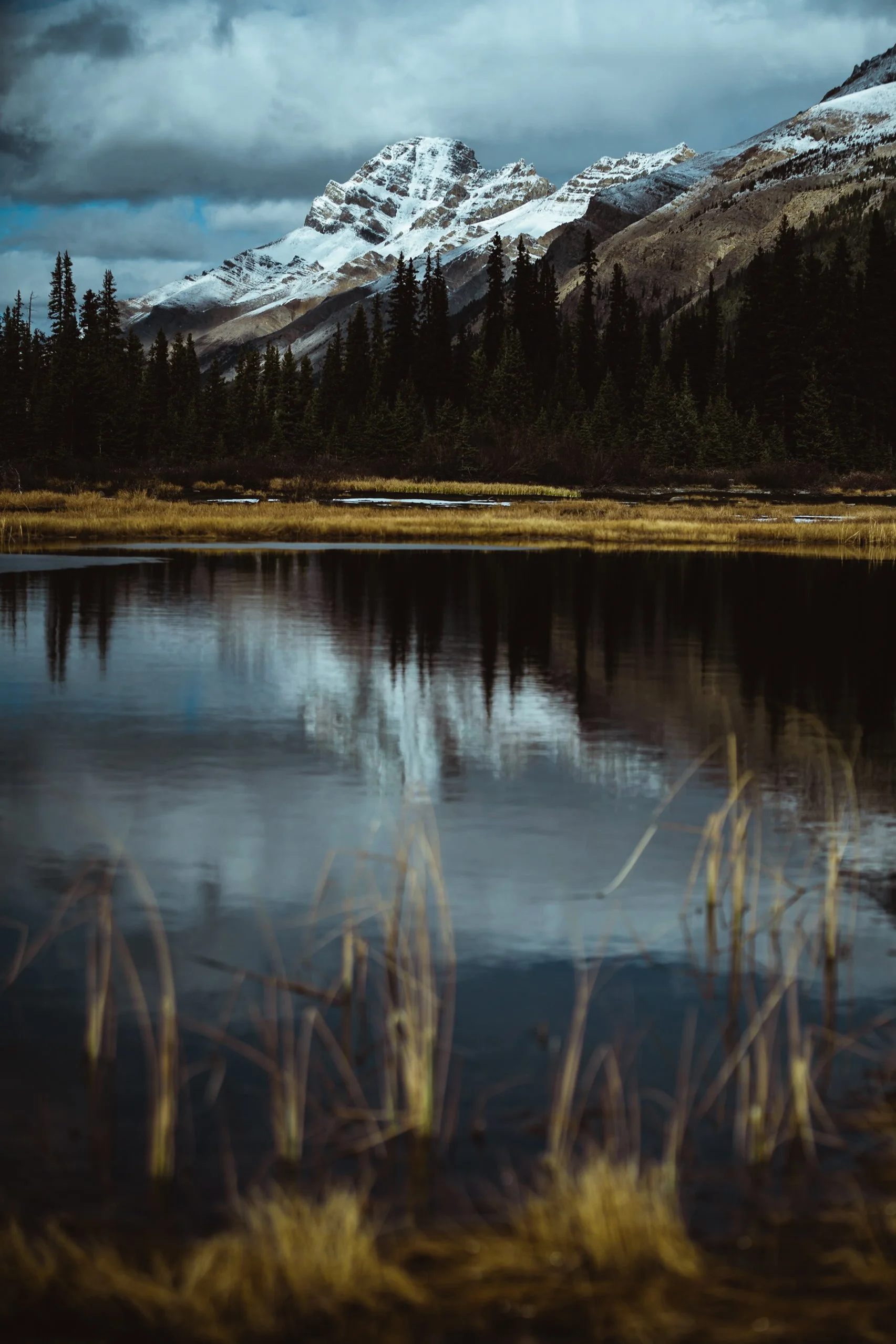 _DSC6464.jpg