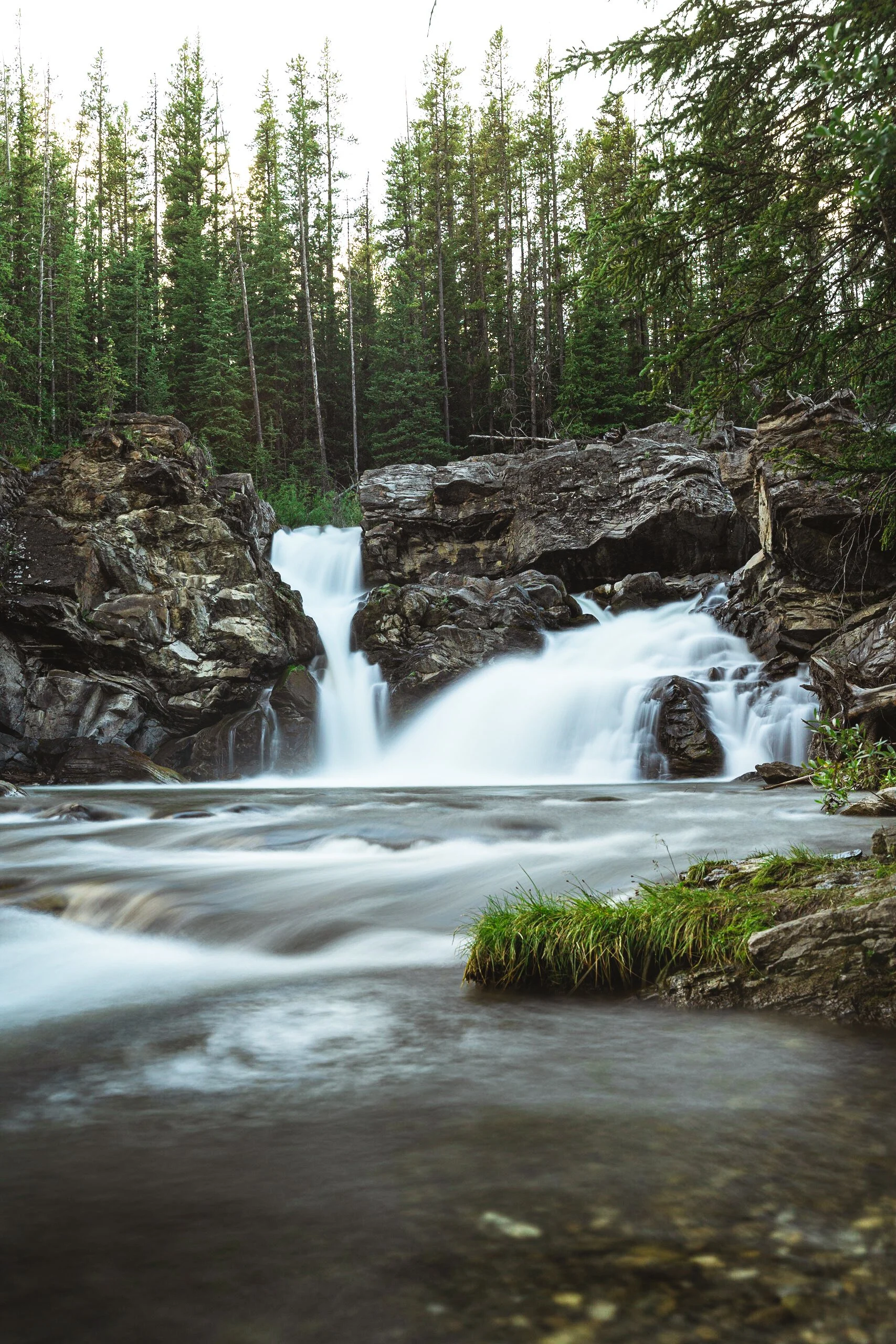 _DSC2710.jpg
