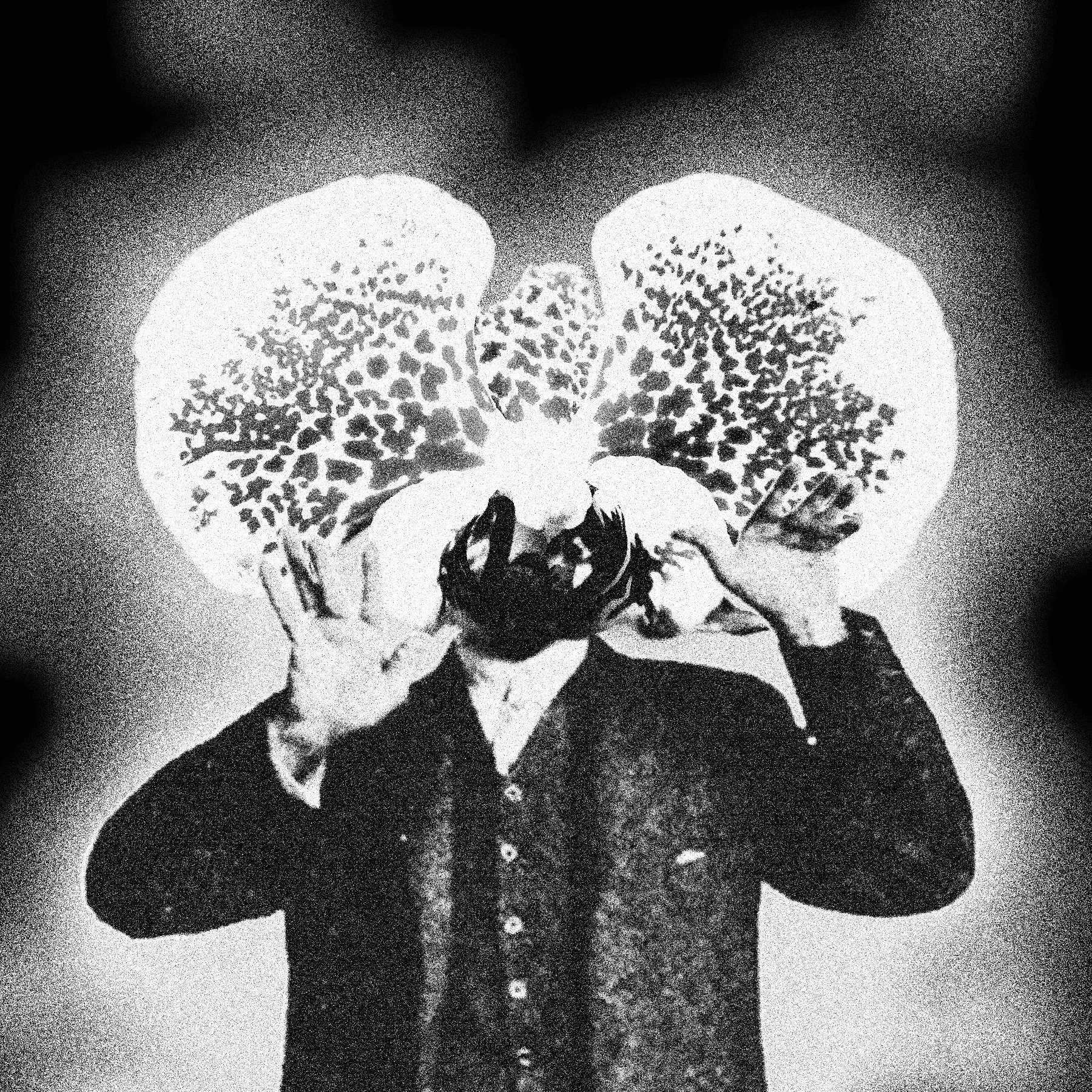 Late Bloomer Album Art, 2022