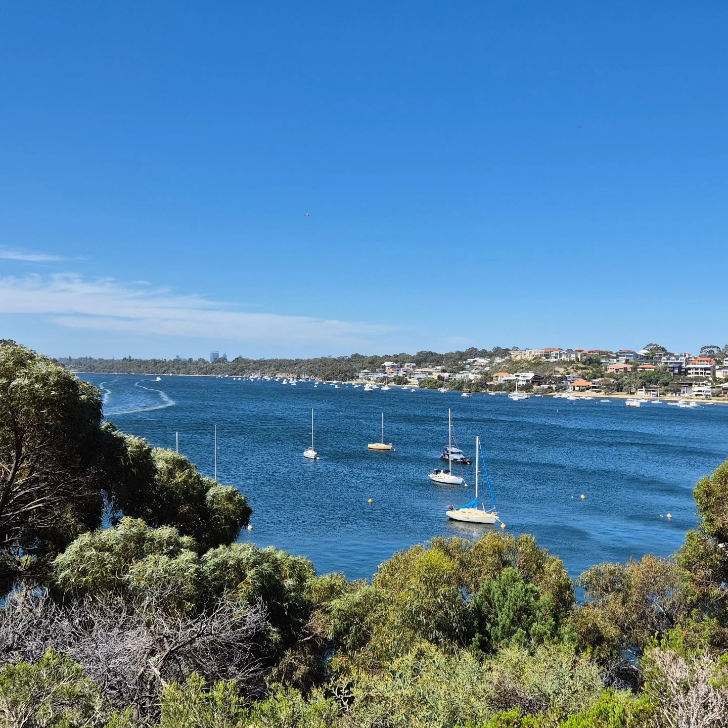 Wednesday...finding secret sunny spots near the water, stumbling upon an amazing deli store, munching on French pastries, and watching two hours disappear while life drawing...does life get better than this?

I've also decided (as of today) to make i