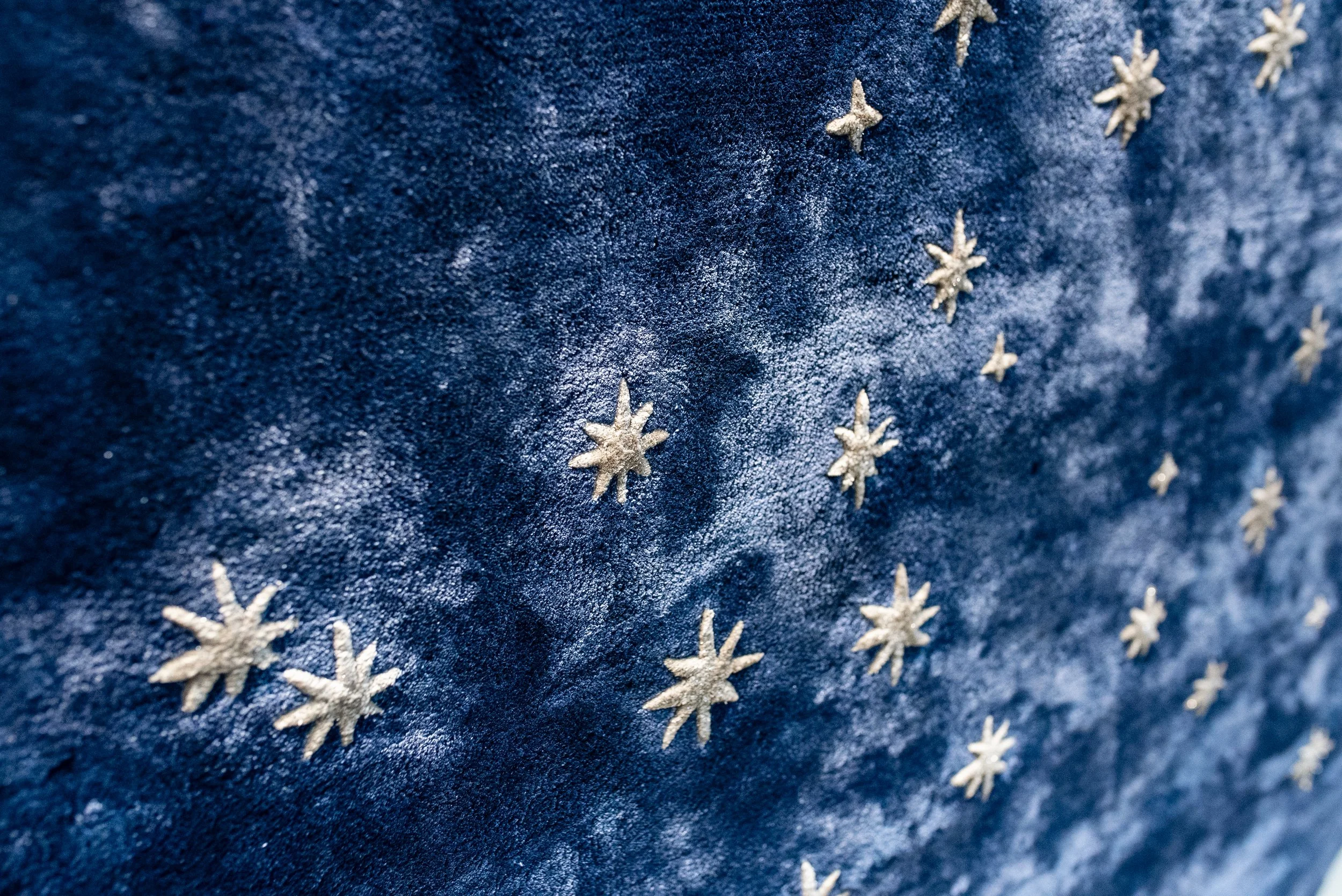 Starry Night - Doodle and The Gang