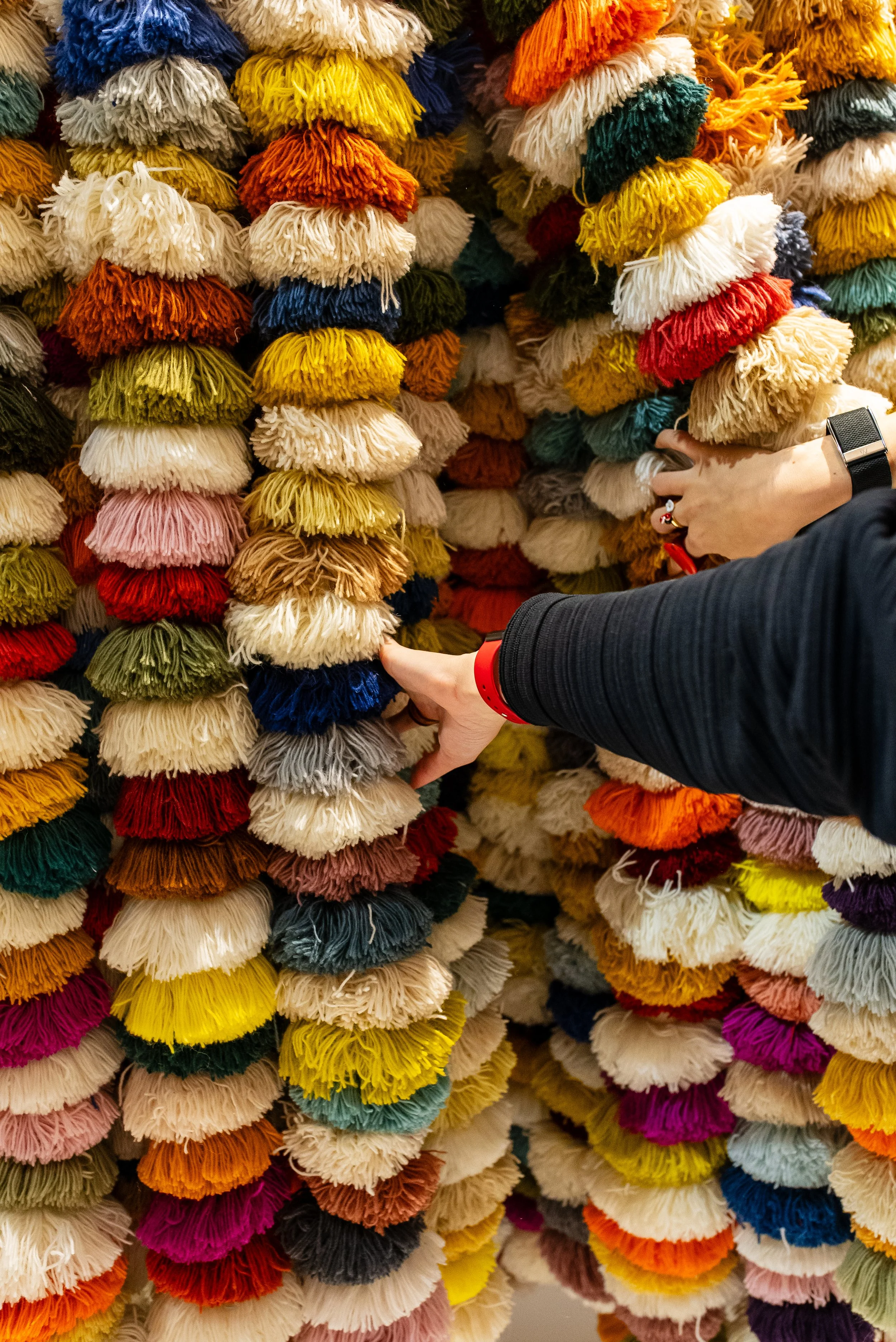 Marigold - Doodle and The Gang