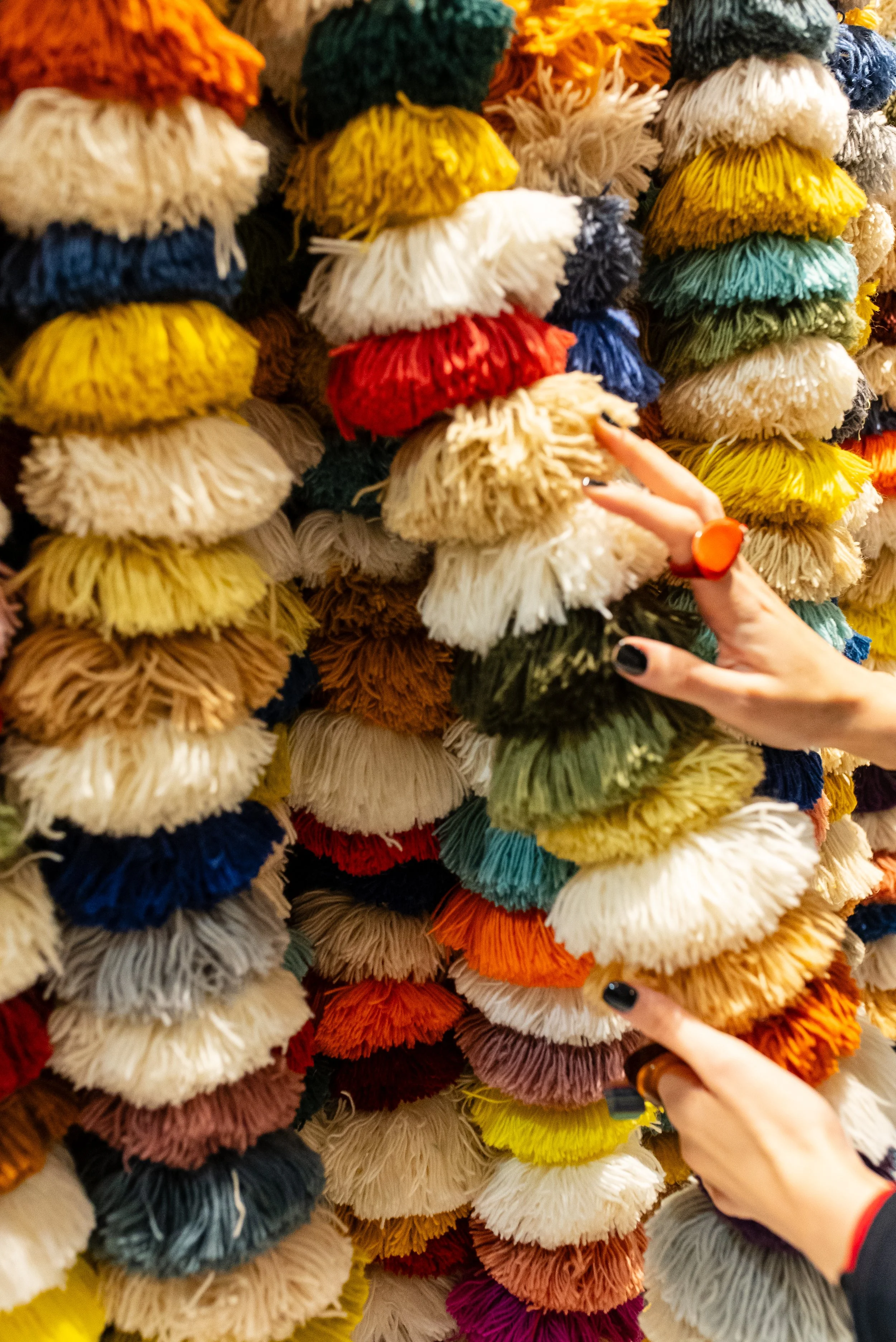 Marigold - Doodle and The Gang