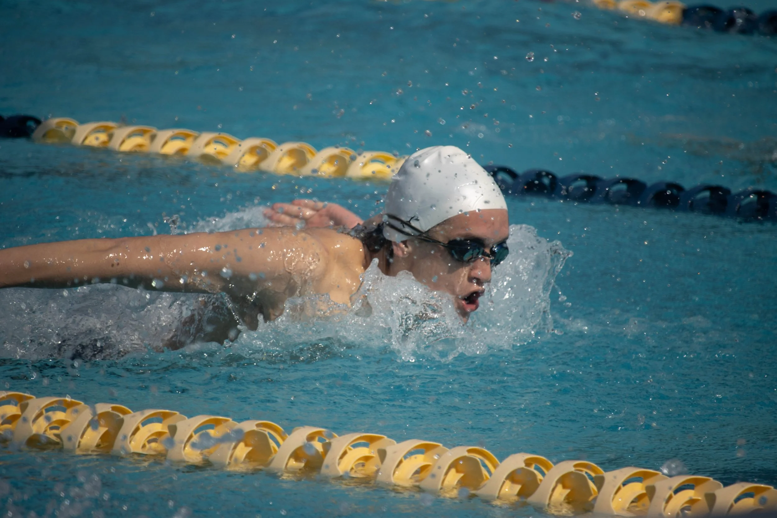 UCSC Swim and Dive (2023)