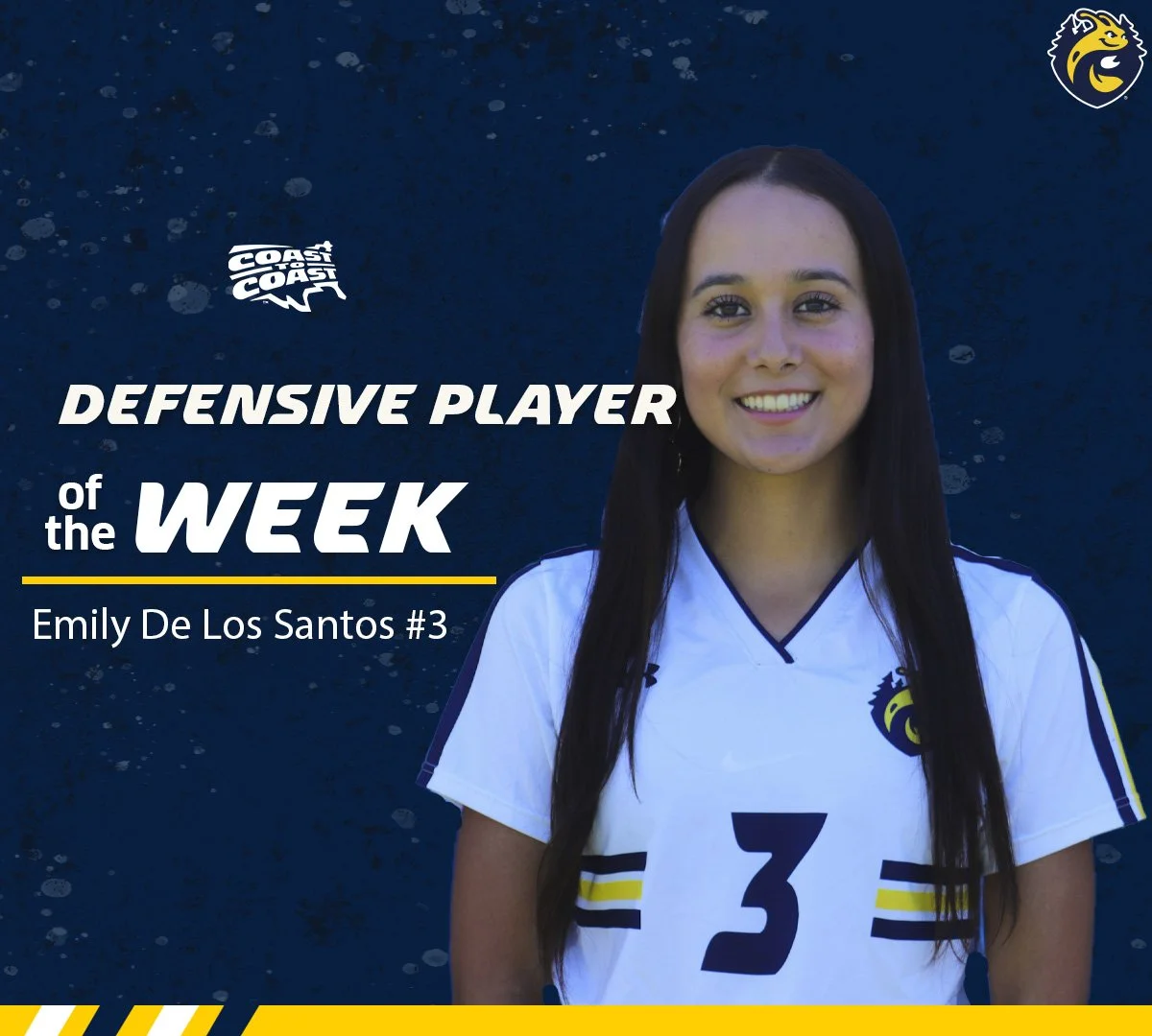 Graphic Design For Social Media (2023)