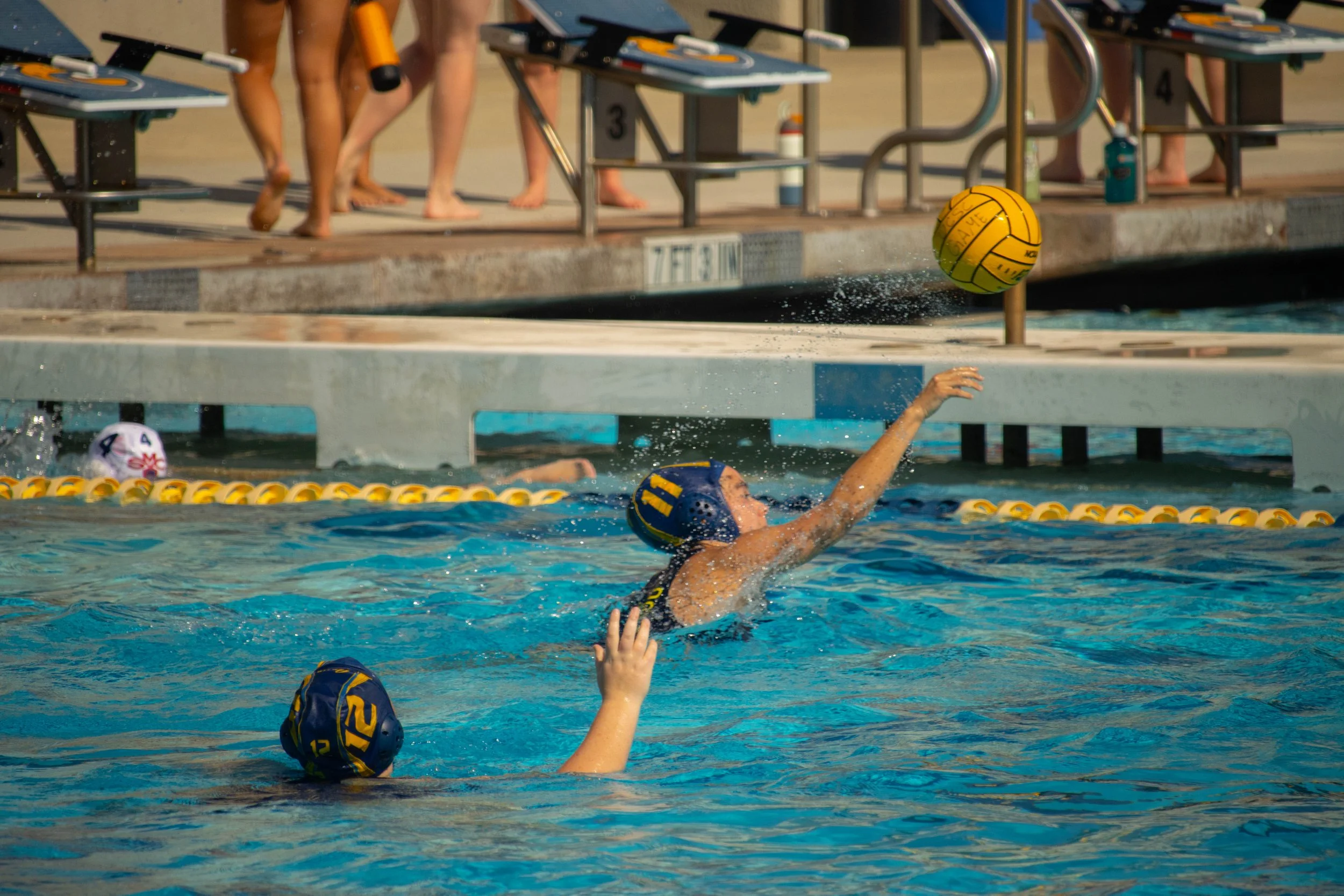 UCSC Womens Water Polo (2024)